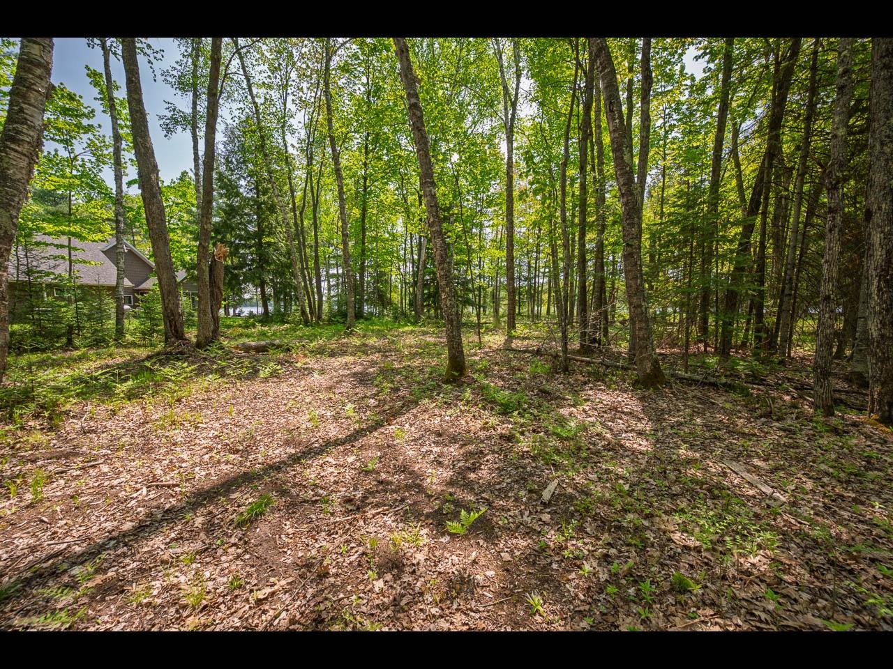 Clearwater Lake Property Lot 13 Memory Ln Photo 23