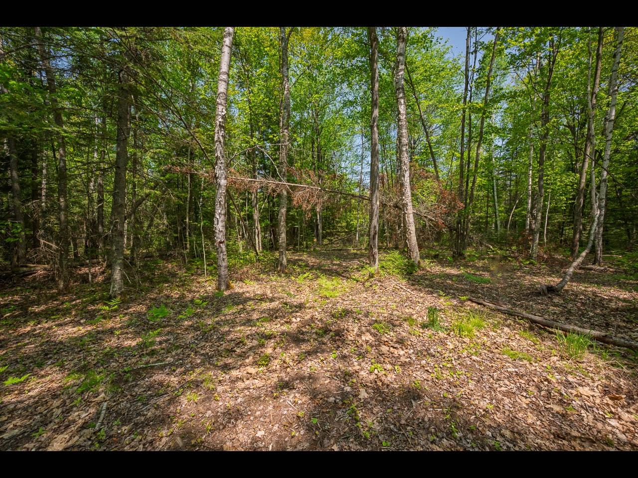 Clearwater Lake Property Lot 13 Memory Ln Photo 25