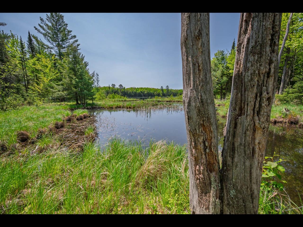 Clearwater Lake Property Lot 13 Memory Ln Photo 28