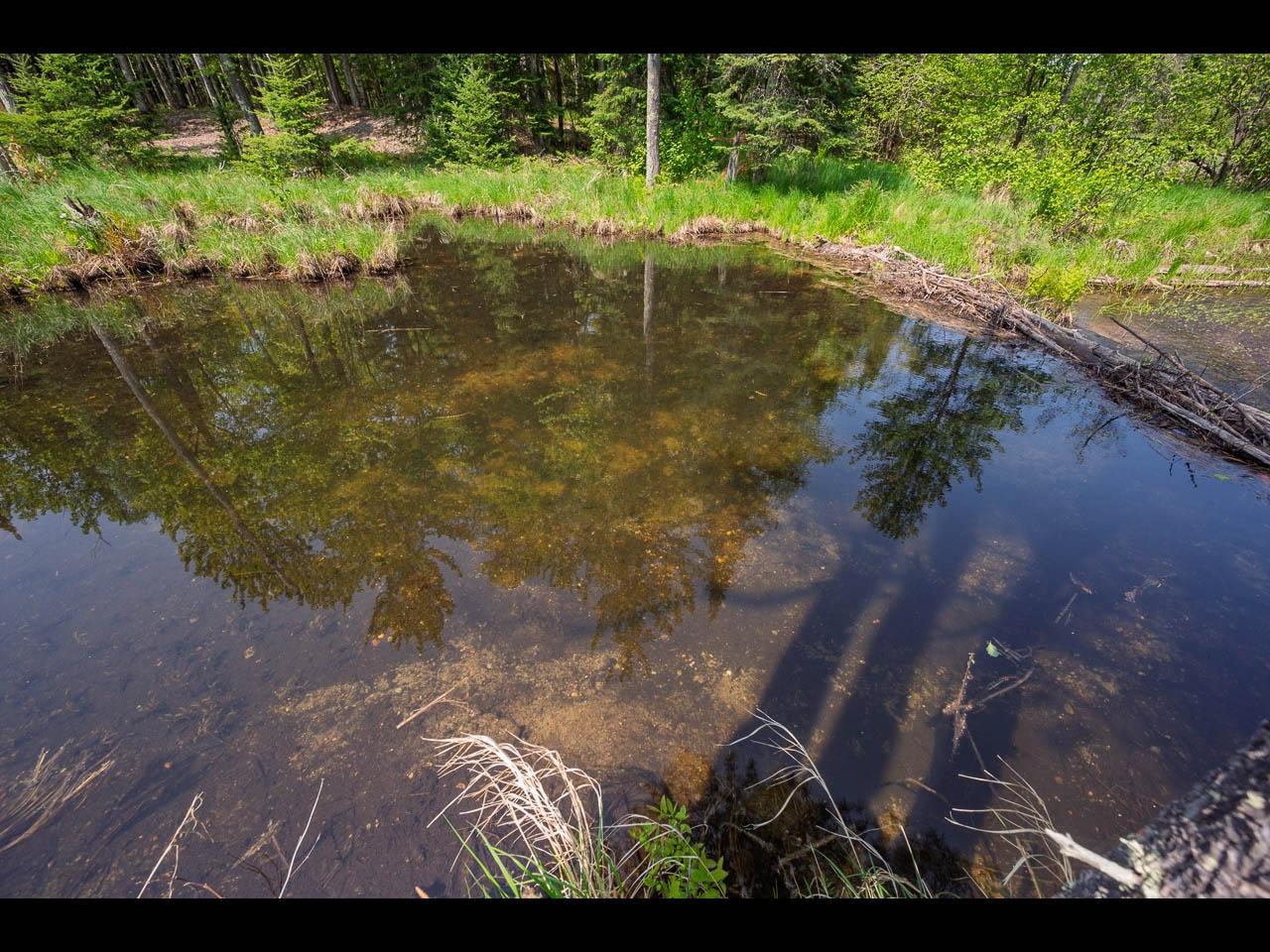 Clearwater Lake Property Lot 13 Memory Ln Photo 29