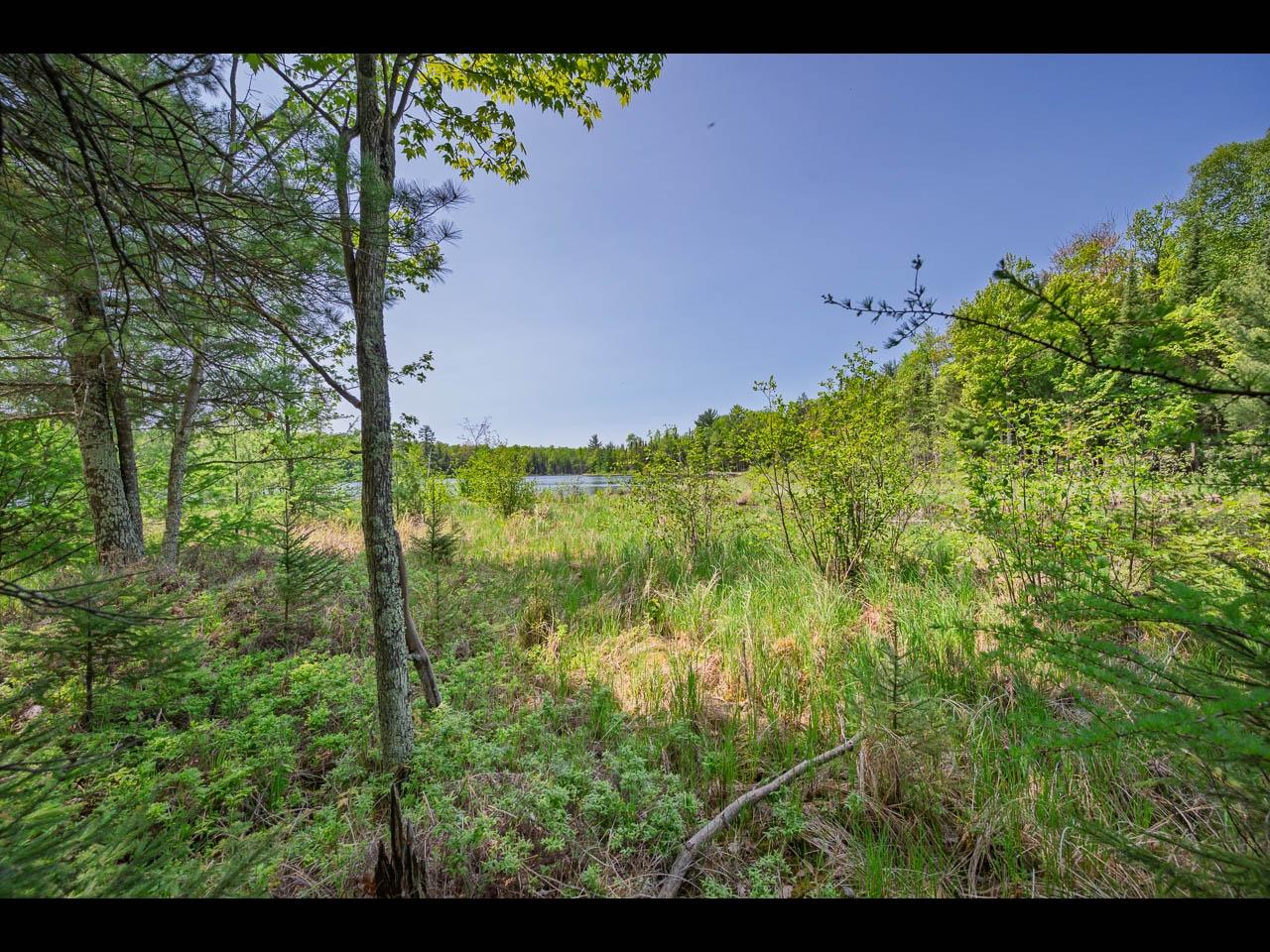 Clearwater Lake Property Lot 13 Memory Ln Photo 32