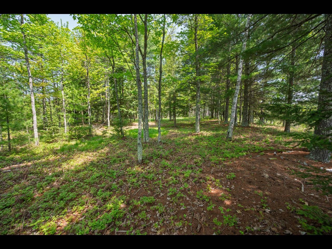 Clearwater Lake Property Lot 13 Memory Ln Photo 9