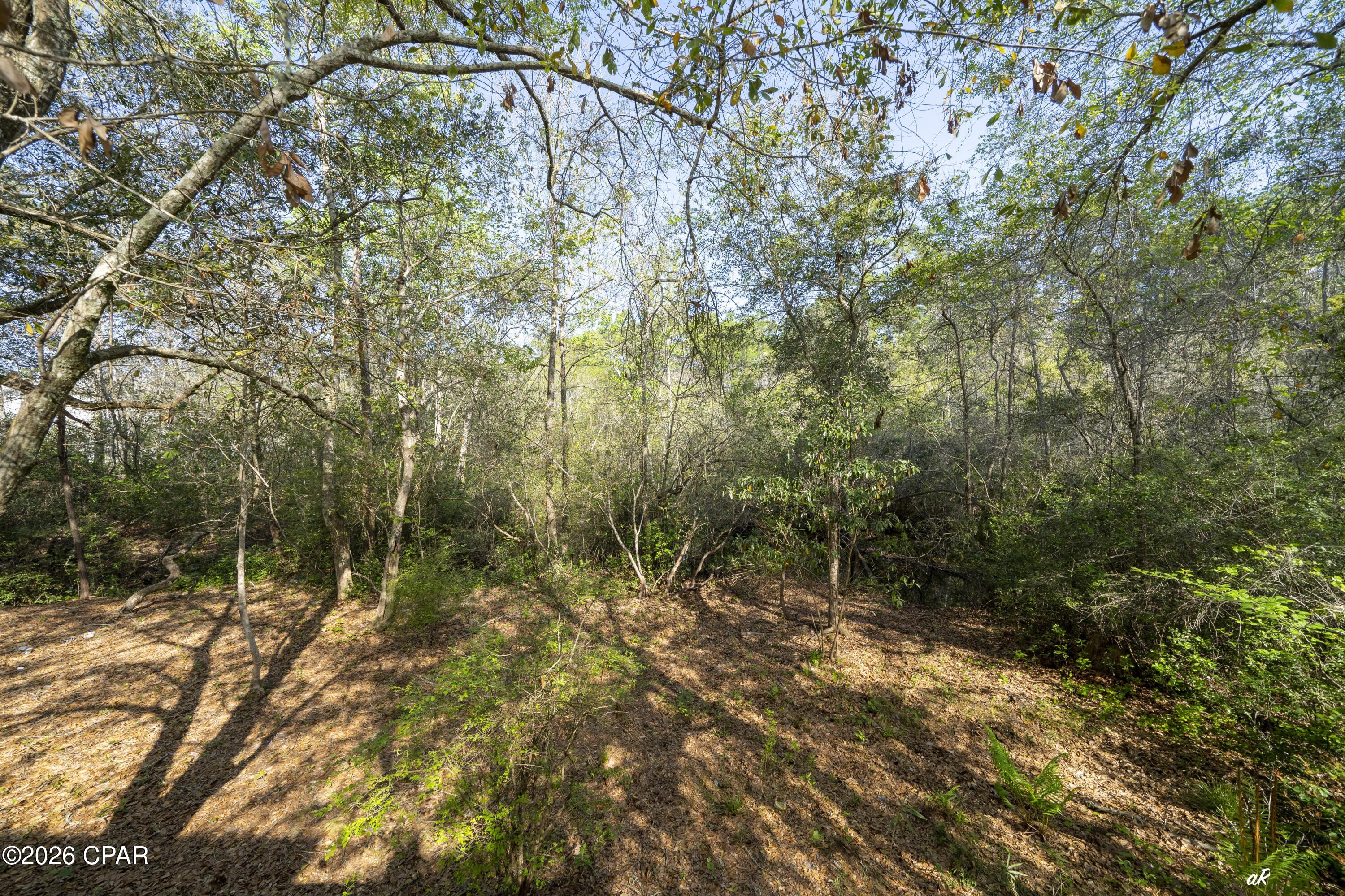 Image 32 For 217 Melrose Avenue