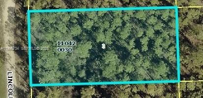 Lehigh Acres Unit 11