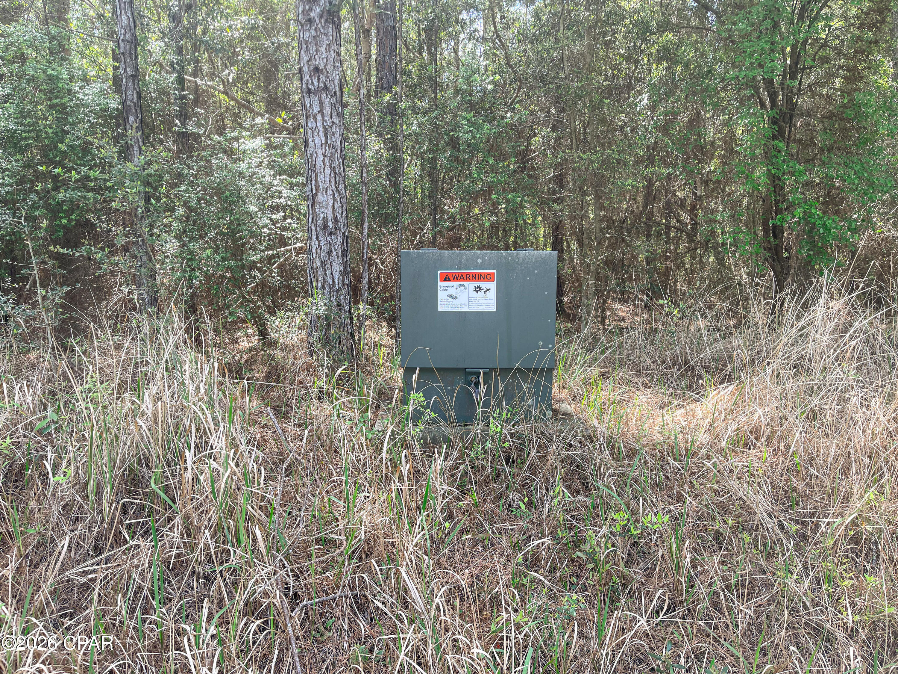 Image 11 For 0004 Cypress Crossing Road