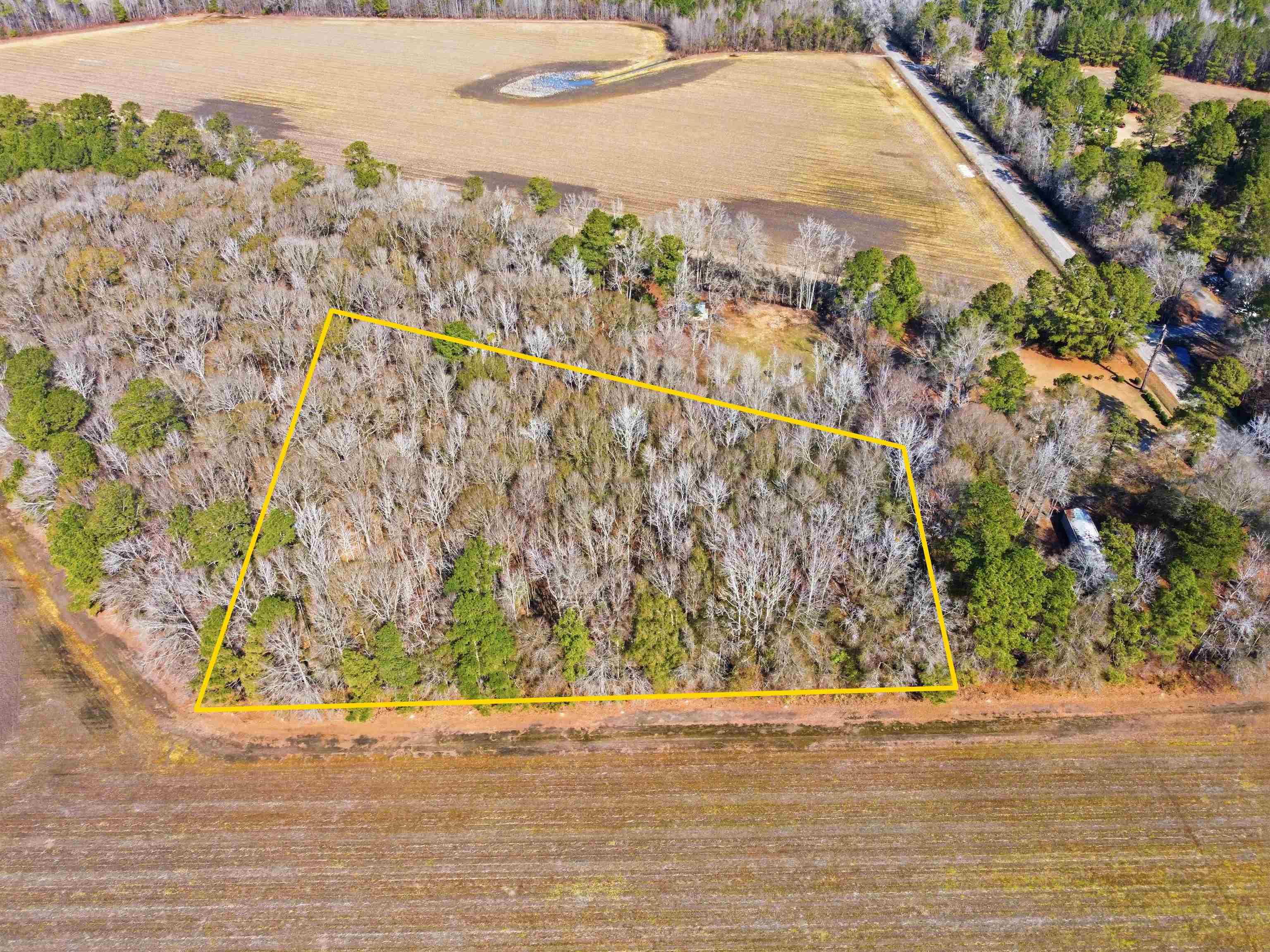 2609074