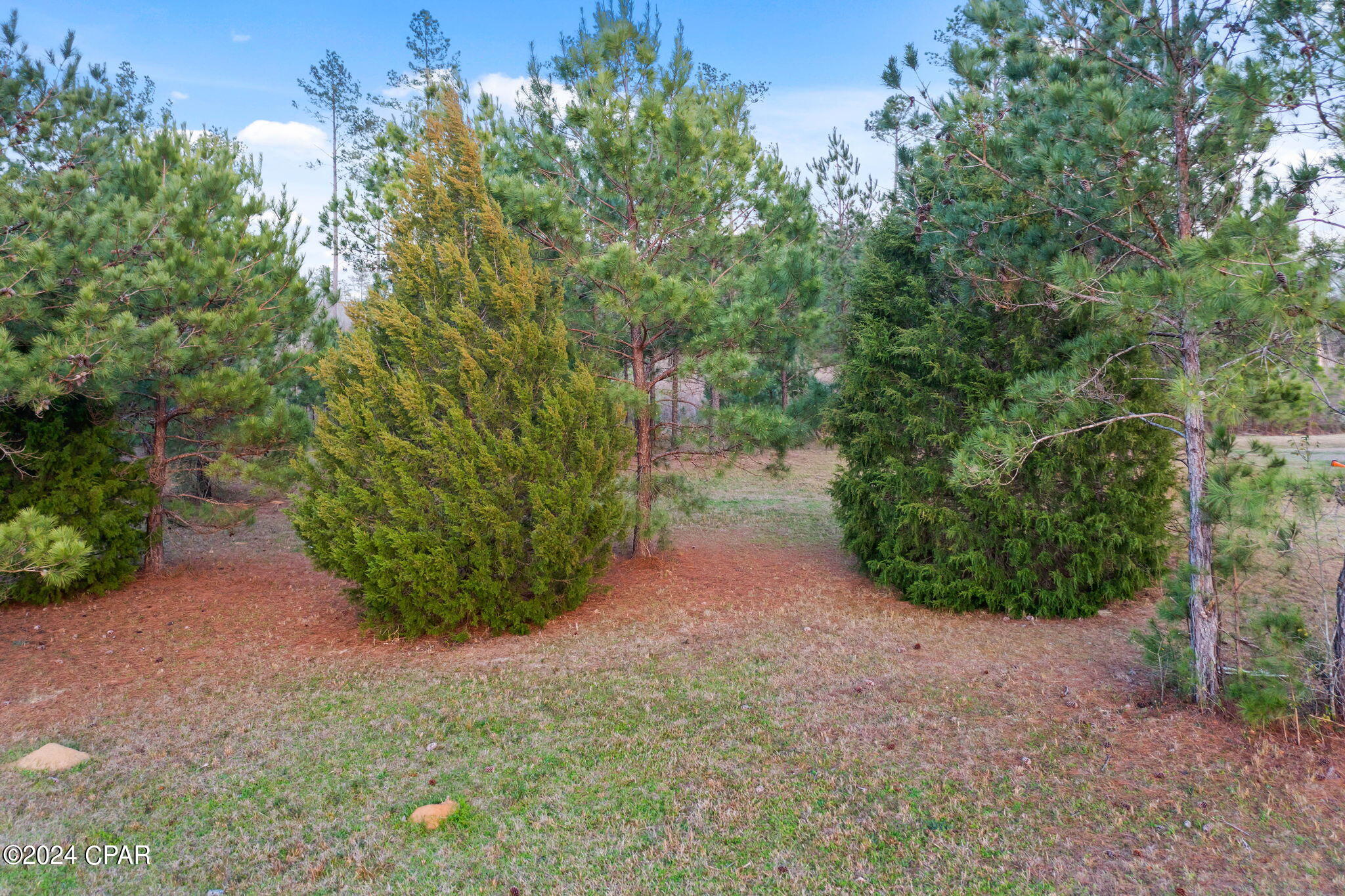 Image 16 For Lot 23 Lakepointe Drive