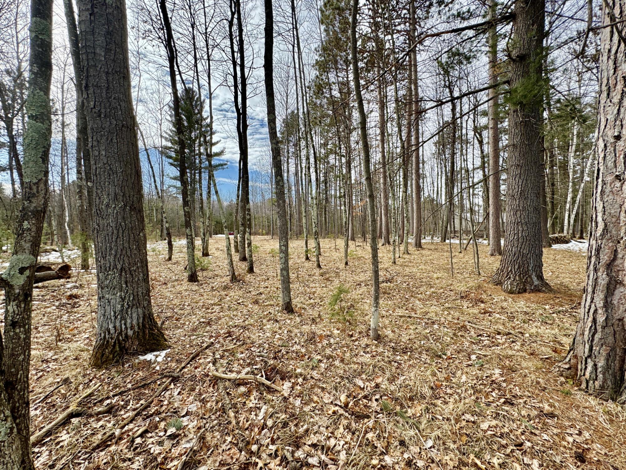 Undocumented Lake Property 8986 Sandy Ct Photo 10