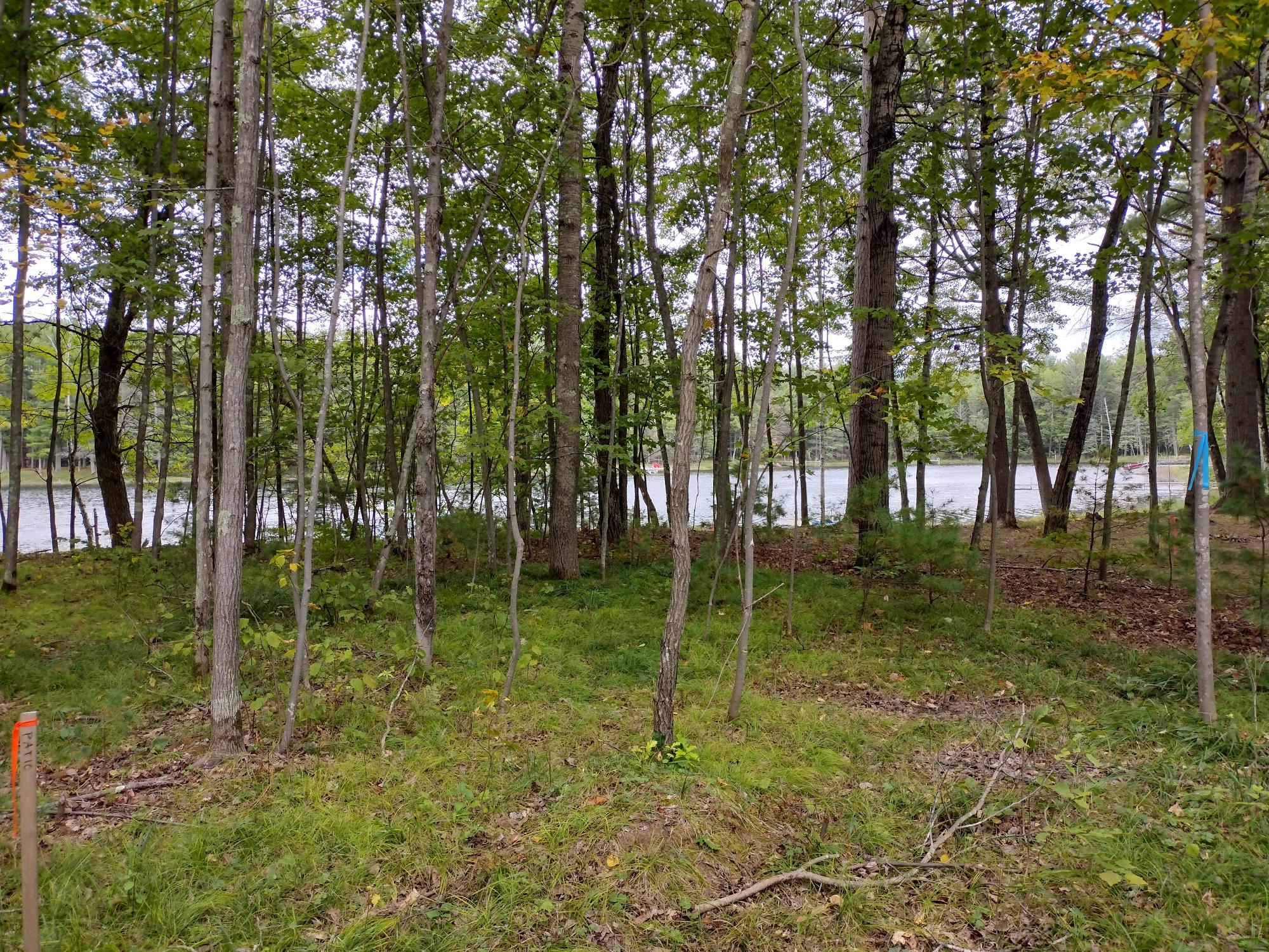 Undocumented Lake Property 8986 Sandy Ct Photo 20