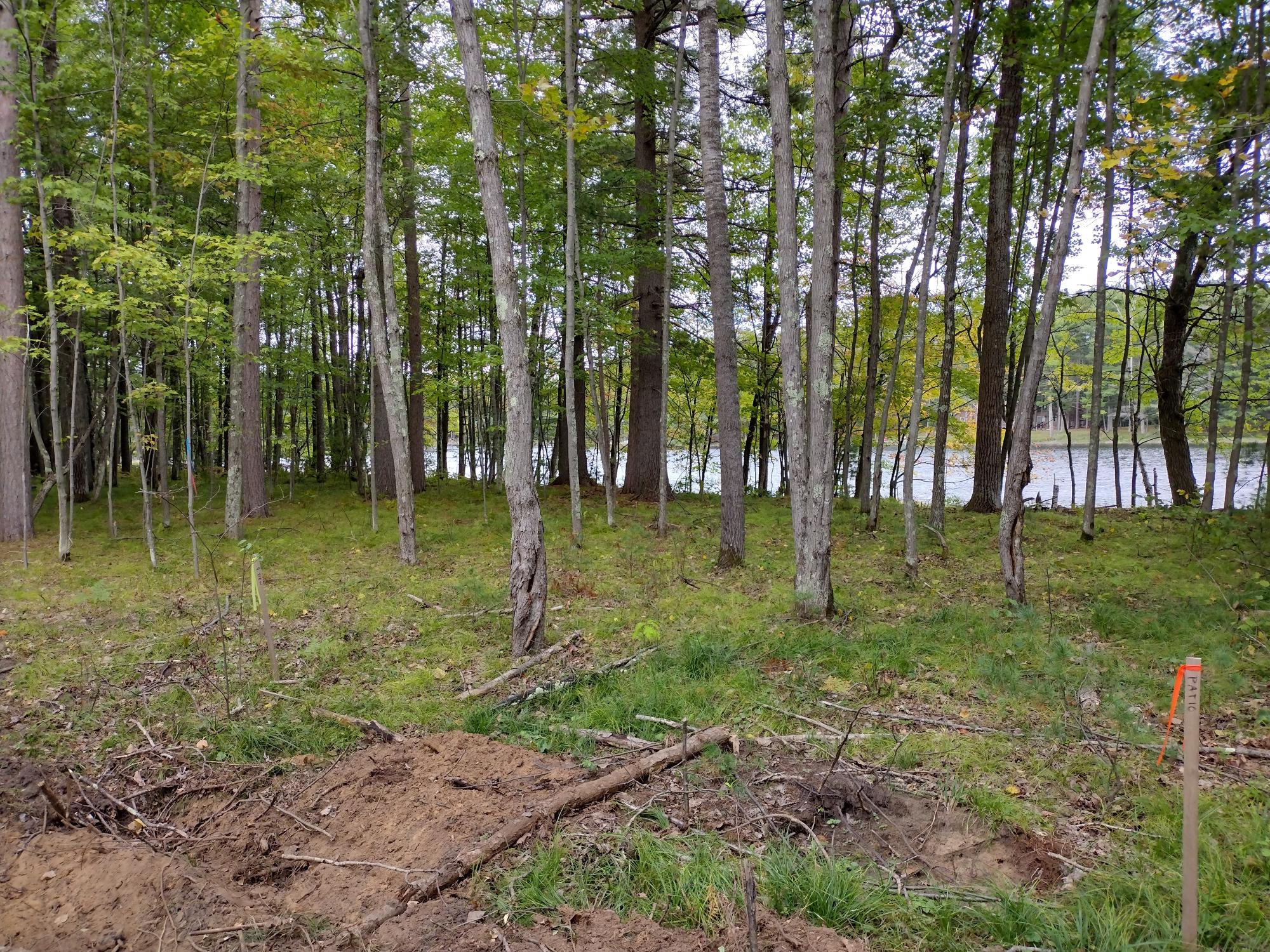 Undocumented Lake Property 8986 Sandy Ct Photo 21