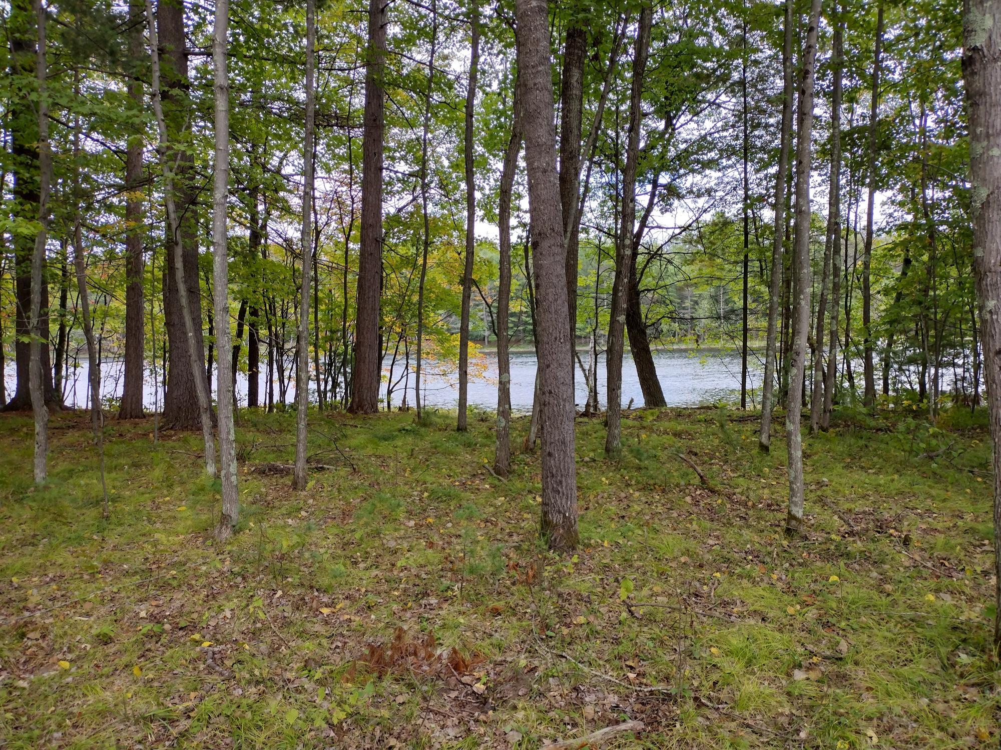 Undocumented Lake Property 8986 Sandy Ct Photo 22