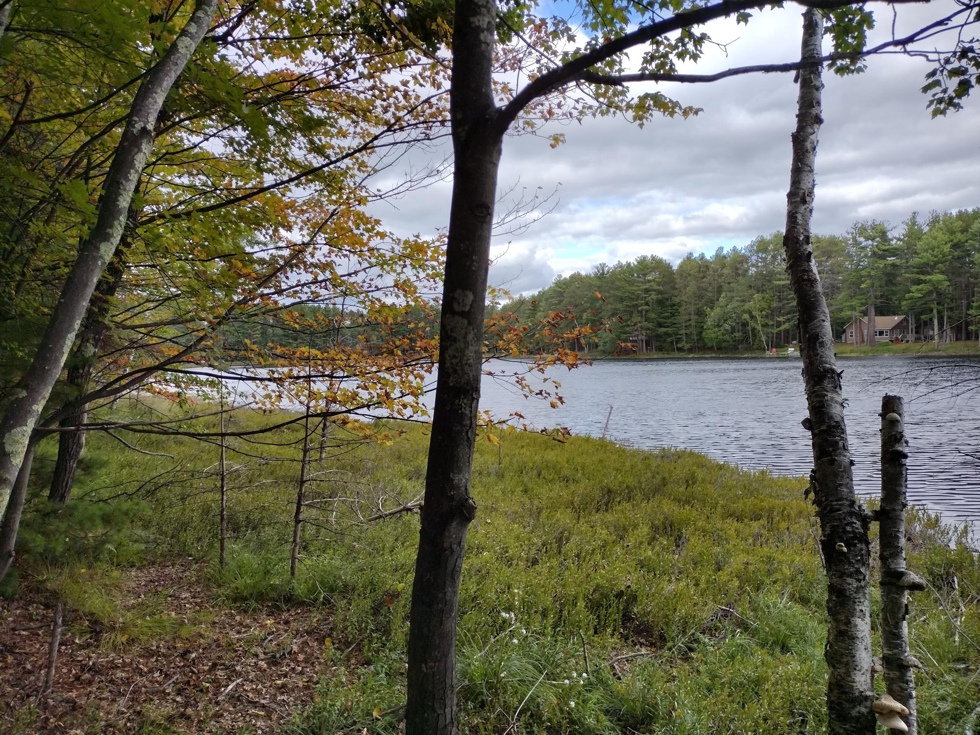 Undocumented Lake Property 8986 Sandy Ct Photo 24