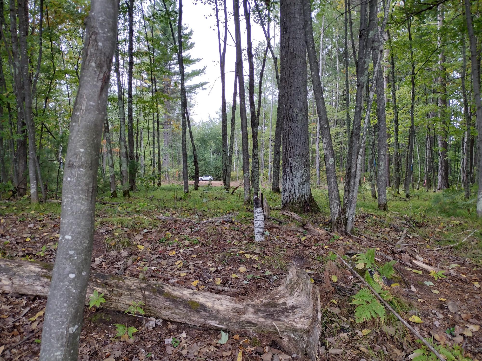 Undocumented Lake Property 8986 Sandy Ct Photo 25