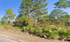 Lehigh Acres