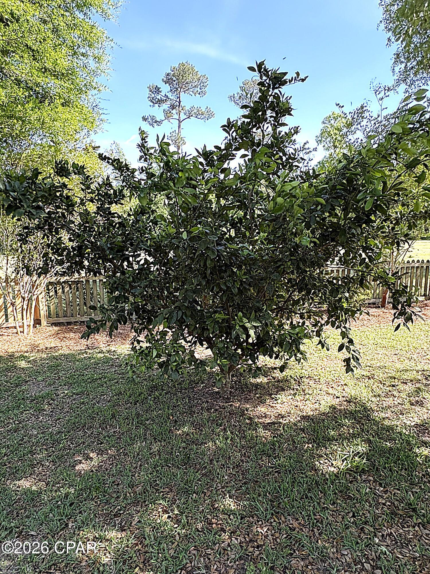 Image 82 For 2874 Magnolia Blossom Lane
