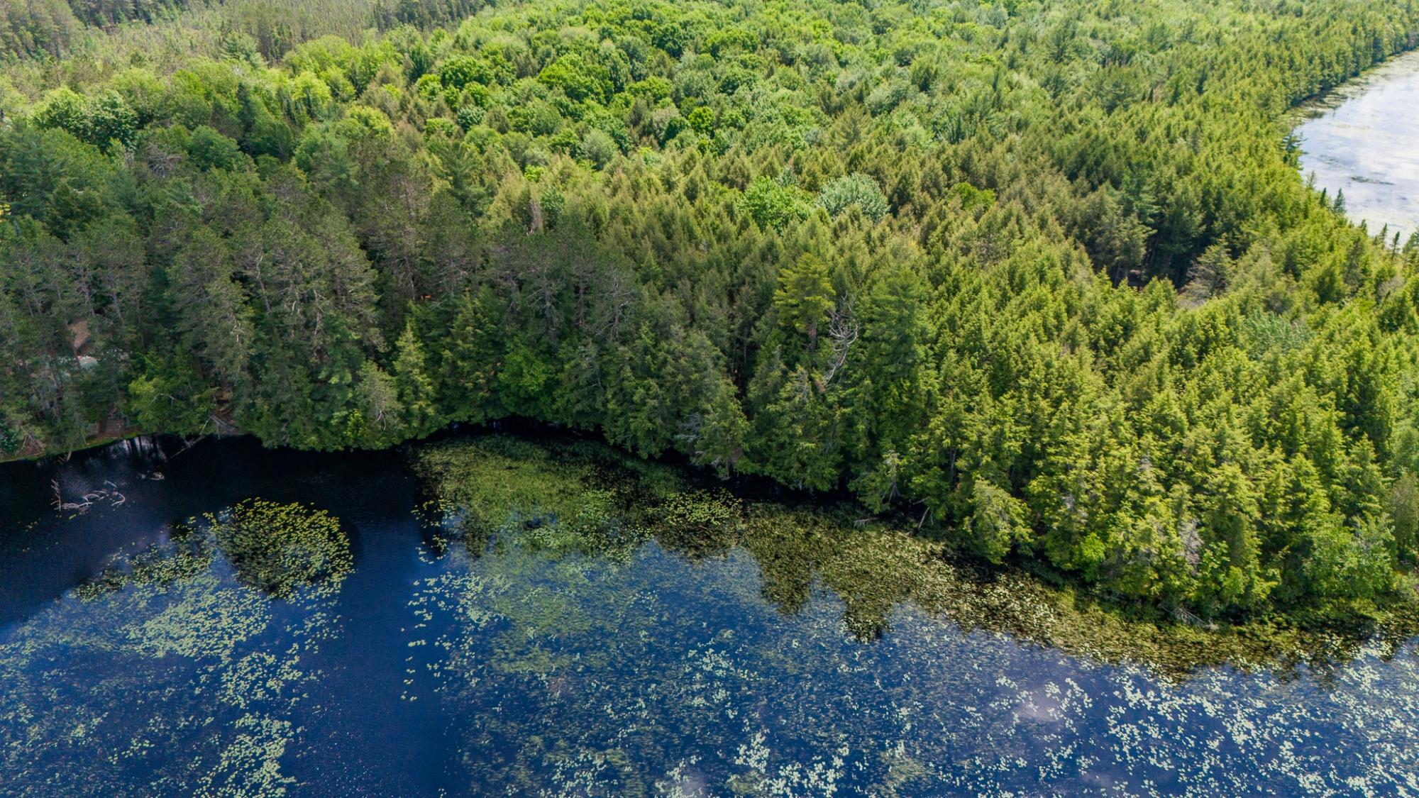 Big Lake Property Lot 1 Staehling Rd Photo 5