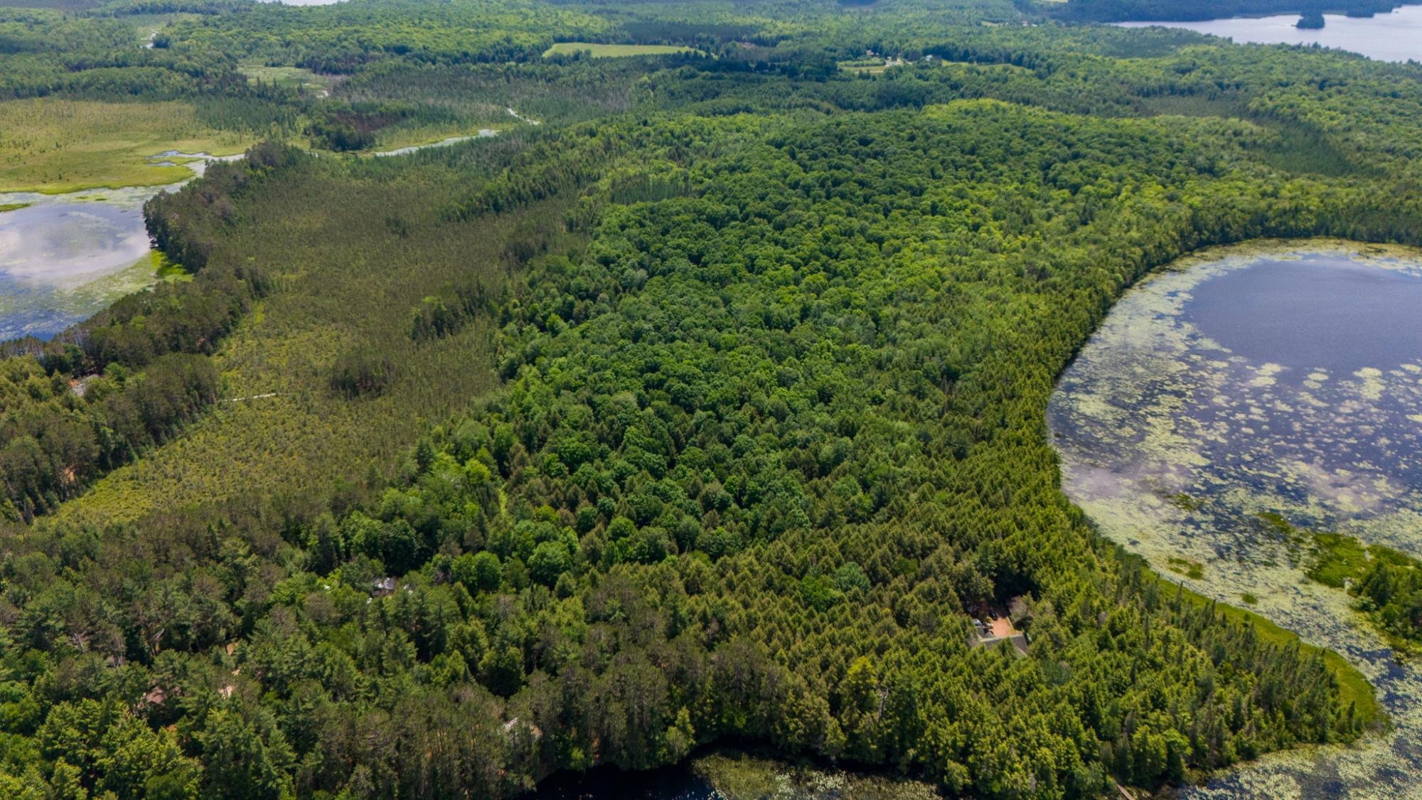 Big Lake Property Lot 1 Staehling Rd Photo 9