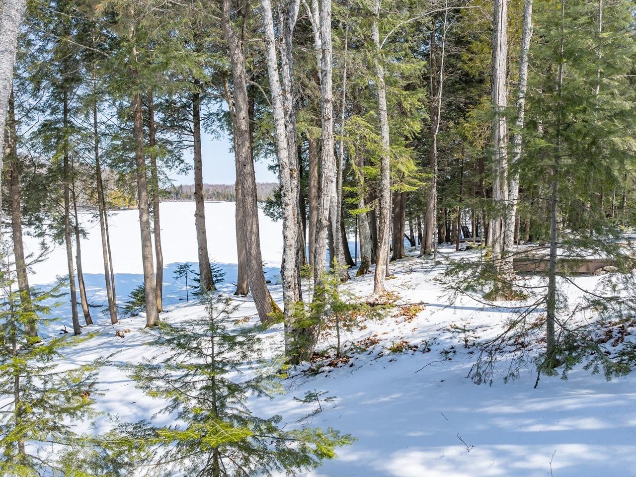 North Turtle Lake Property 13794 Priest Point Ln Photo 25