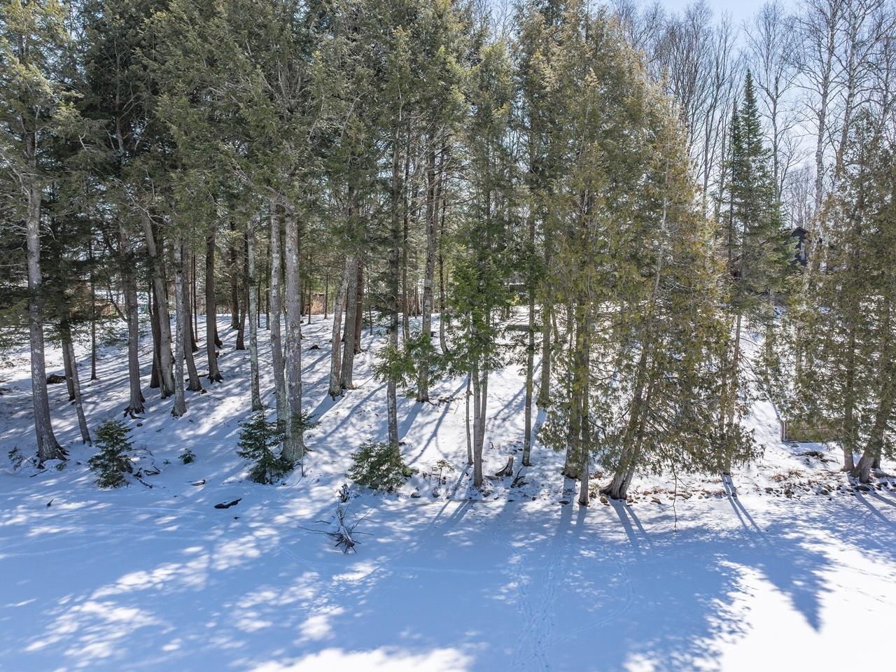 North Turtle Lake Property 13794 Priest Point Ln Photo 38