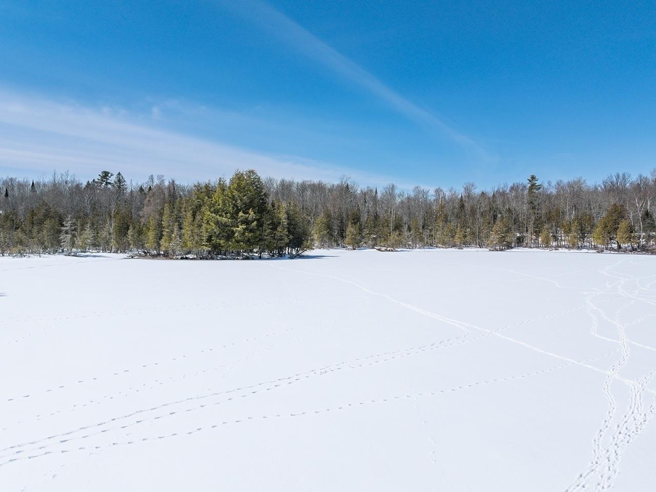 North Turtle Lake Property 13794 Priest Point Ln Photo 41