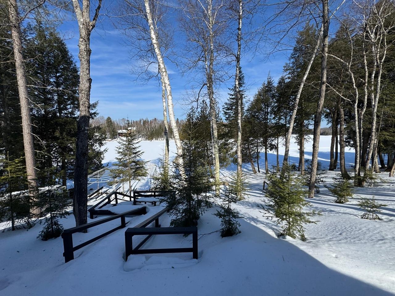 North Turtle Lake Property 13794 Priest Point Ln Photo 47