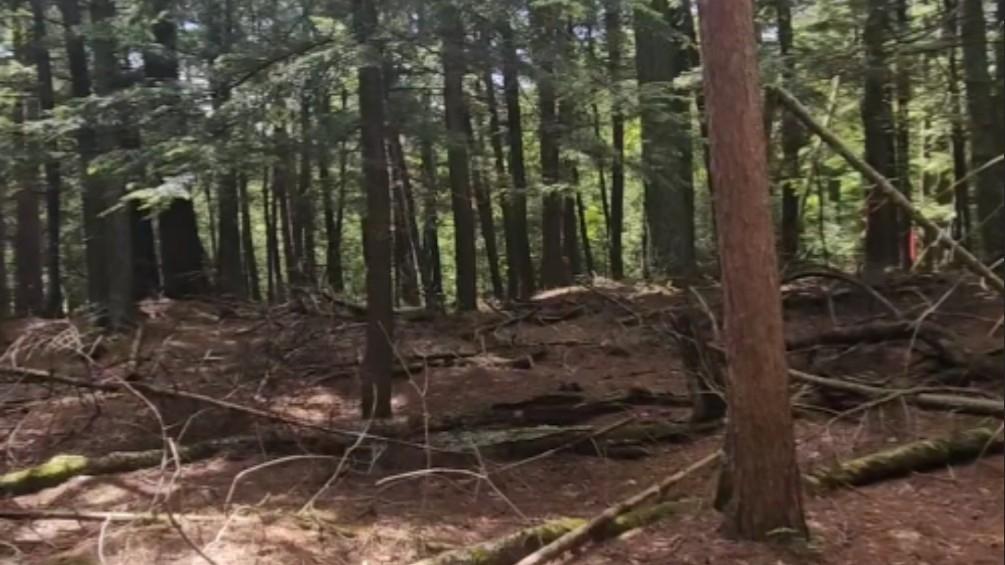 Big Lake Property Lot 2 Staehling Rd Photo 4