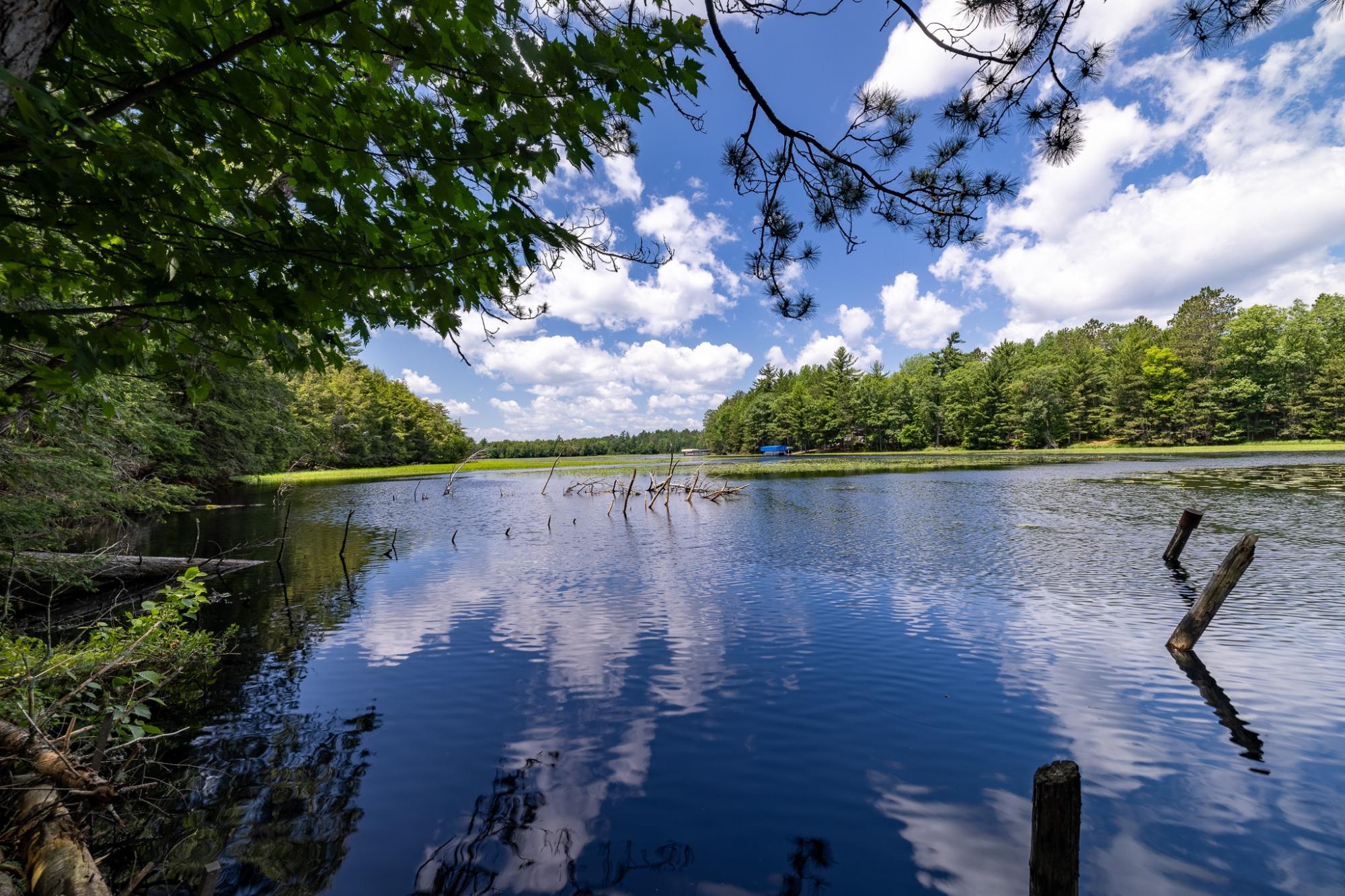 Big Lake Property Lot 2 Staehling Rd Photo 5