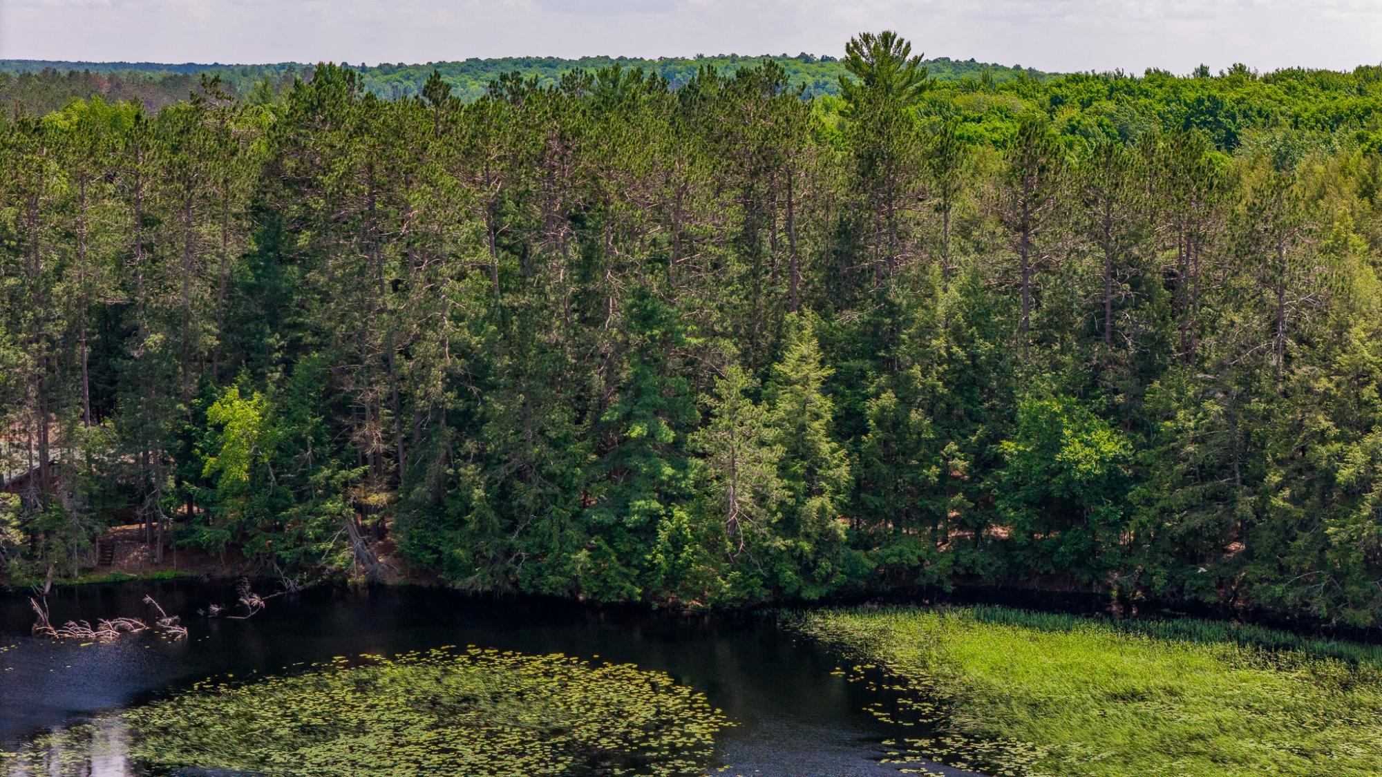 Big Lake Property Lot 2 Staehling Rd Photo 6