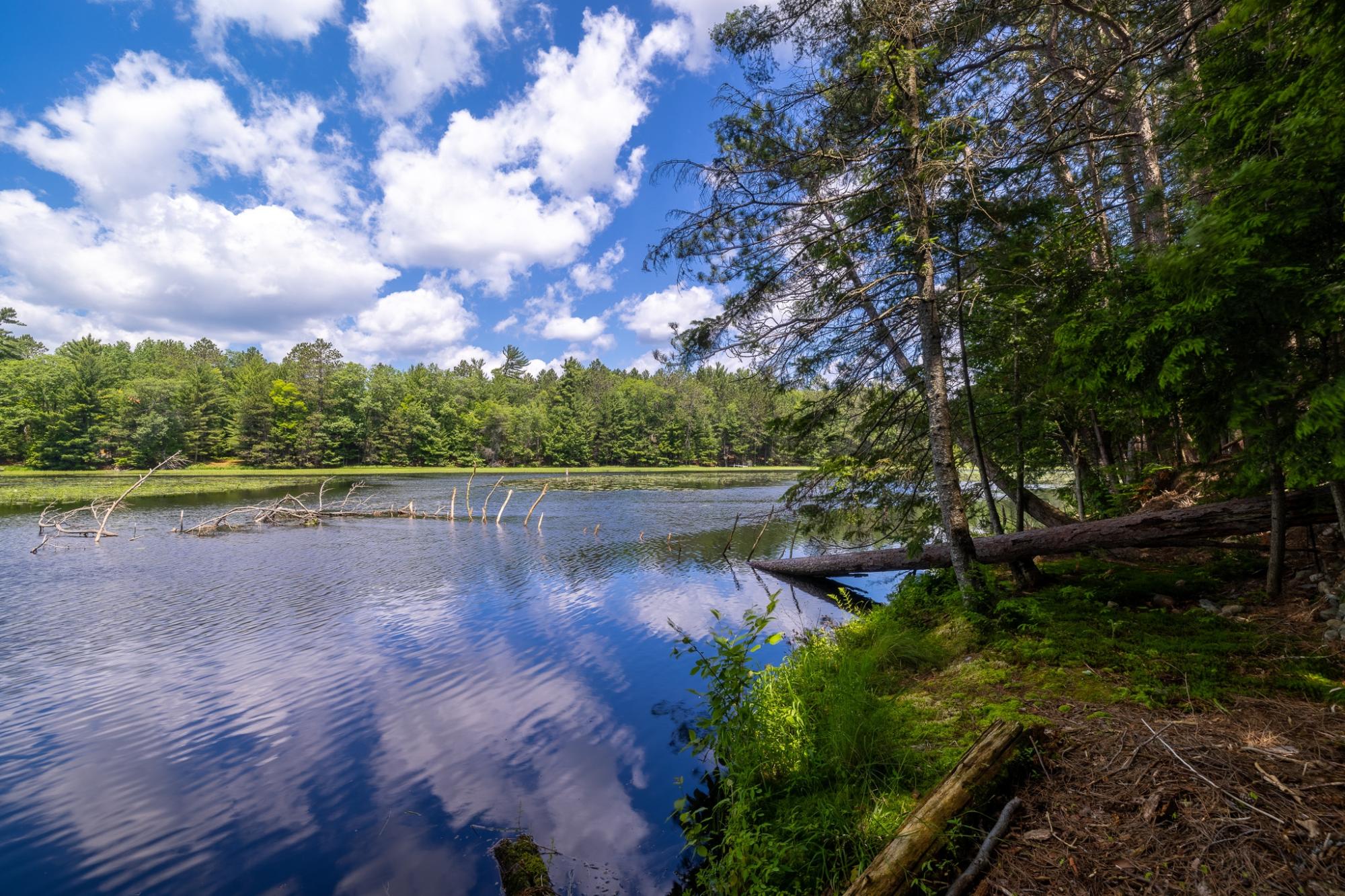 Big Lake Property Lot 3 Staehling Rd Photo 4