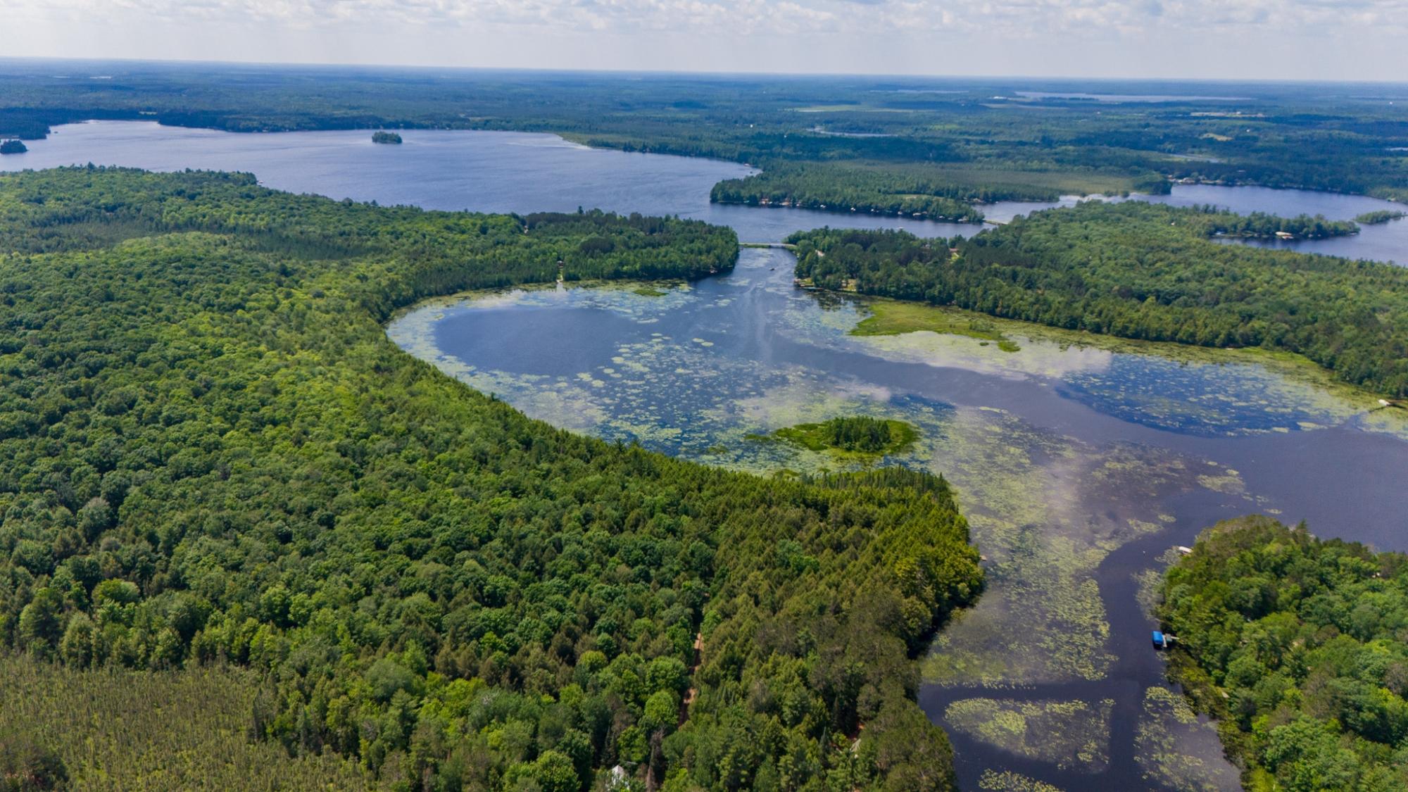 Big Lake Property Lot 3 Staehling Rd Photo 9