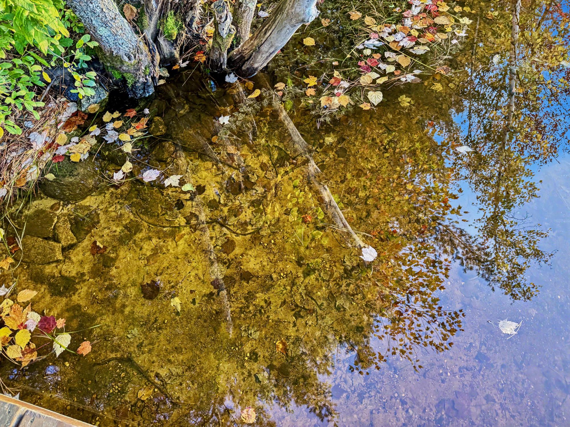 Shepard Lake Property 4147 North Dr Photo 36