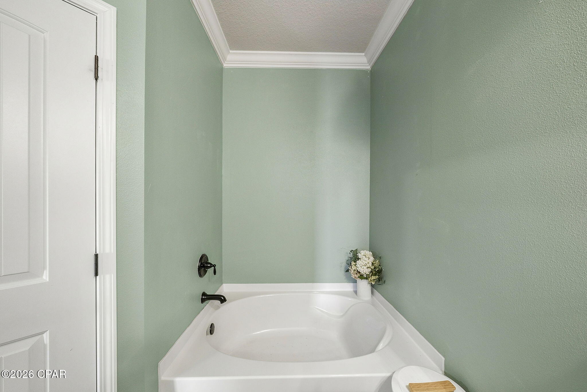 Image 41 For 377 Cocobolo Drive