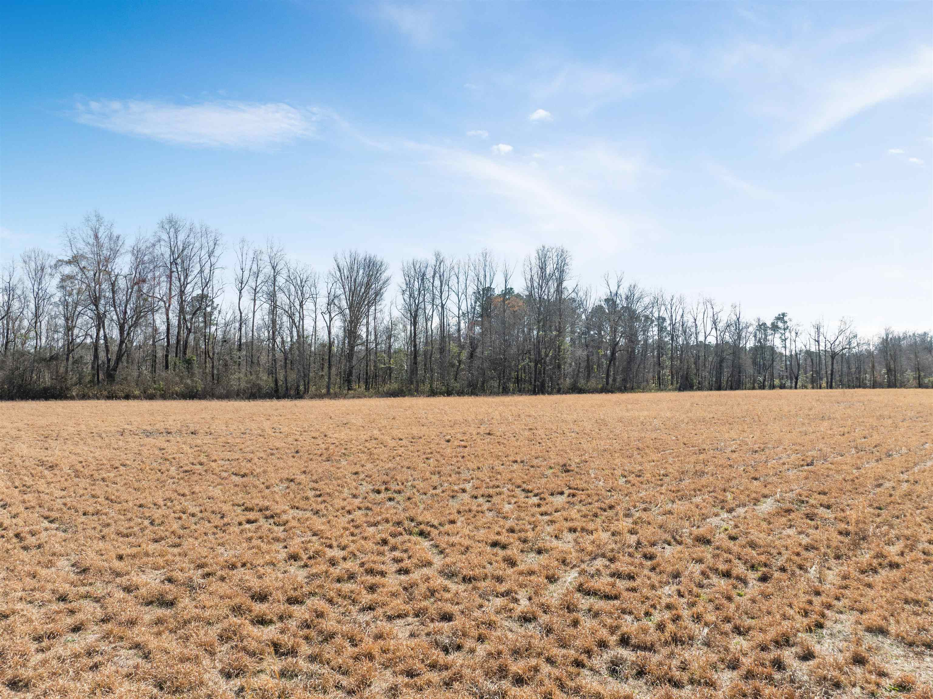 Homes for sale in Johnsonville, SC | Lot 3 Sheila Dr, Johnsonville, SC 29555 | MLS# 2609165
