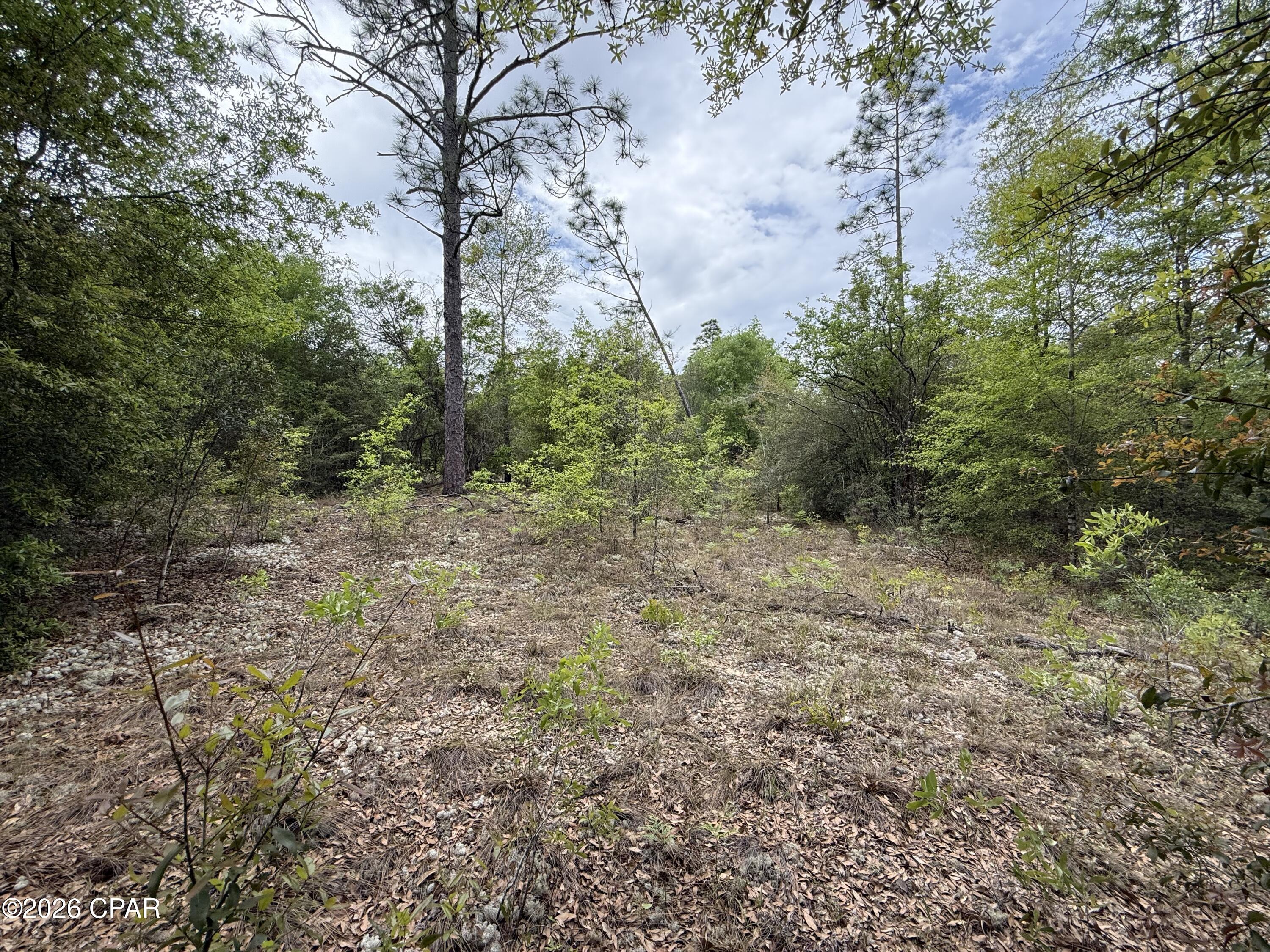 Details for 19678 Walsh Road, Fountain, FL 32438
