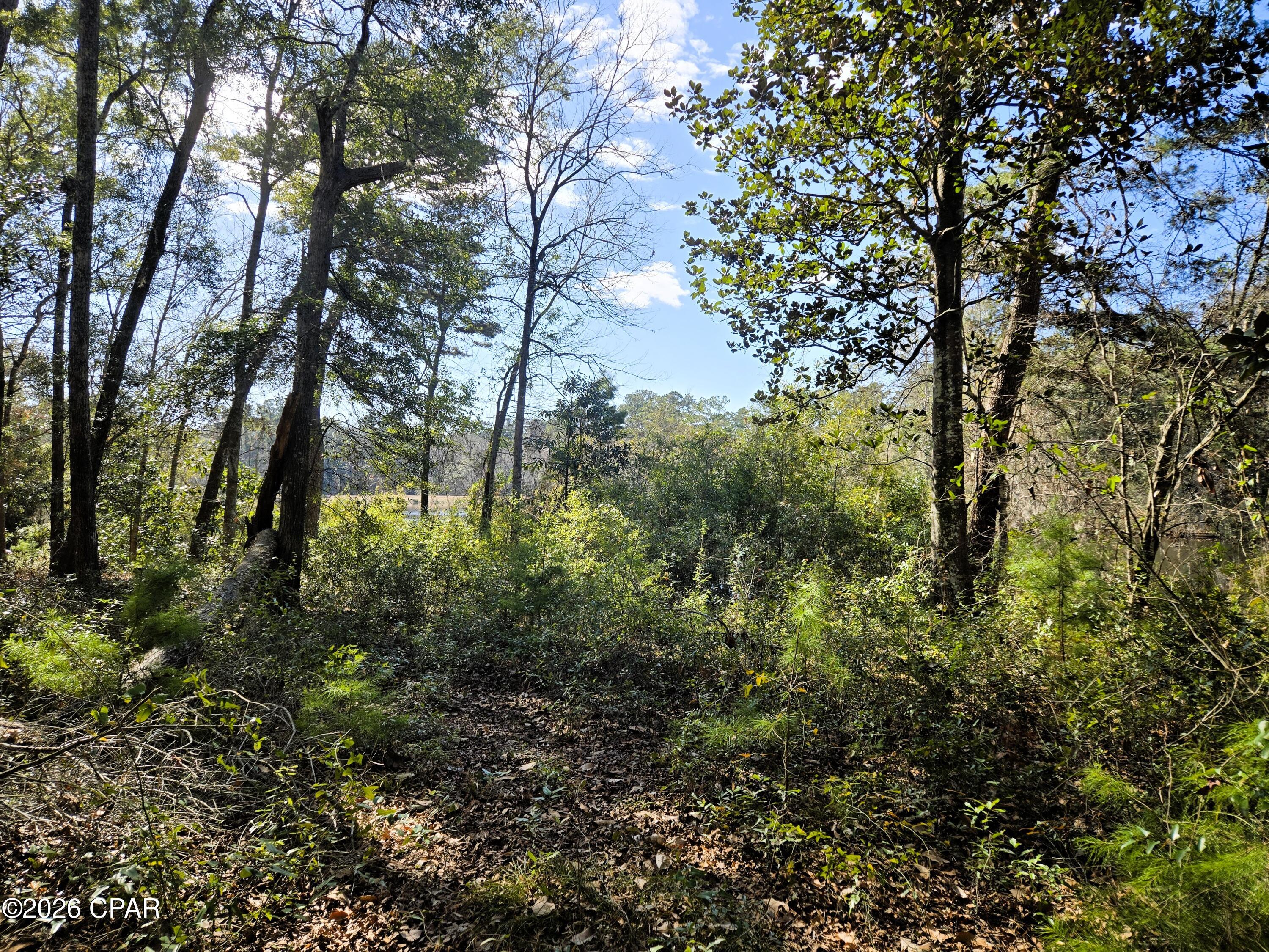 Image 6 For 0 Yvonne Court