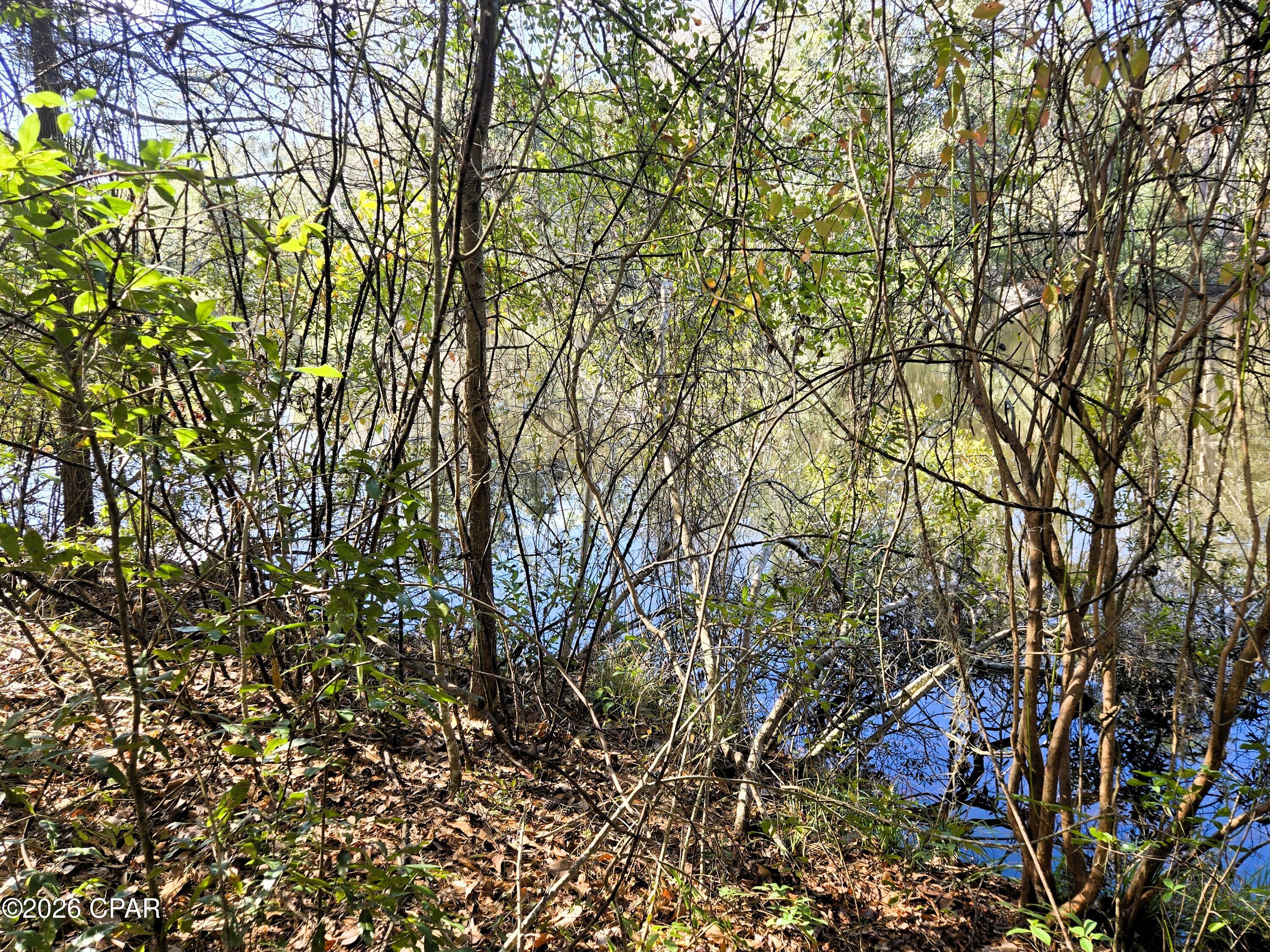 Image 7 For 0 Yvonne Court