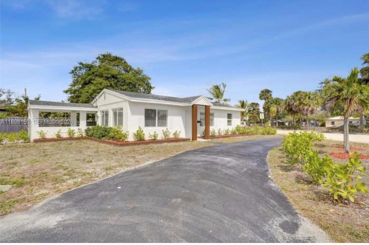 North Andrews Gardens Fir