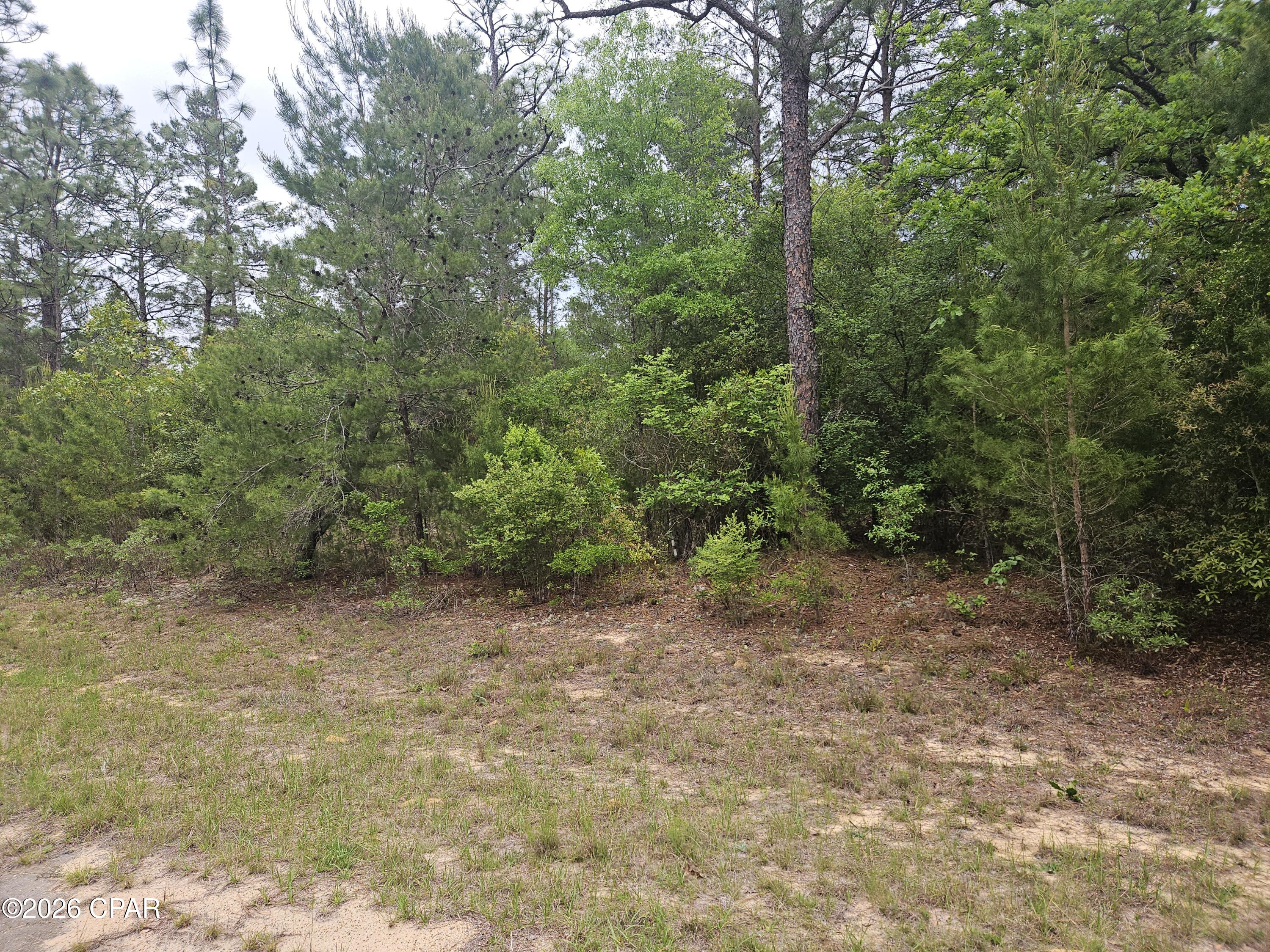 Listing Details for 00 Statler Avenue 00000000-0, Chipley, FL 32428