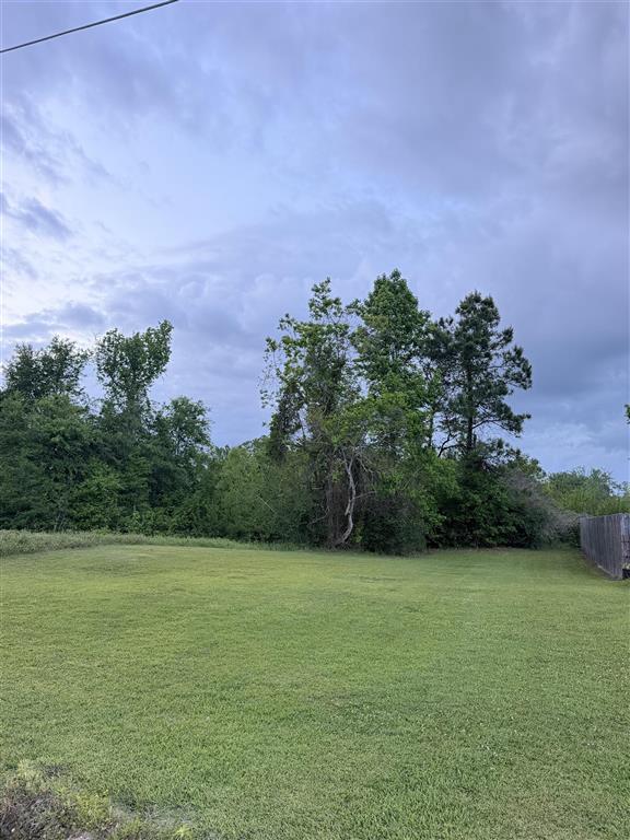 Ethel Drive — photo 3