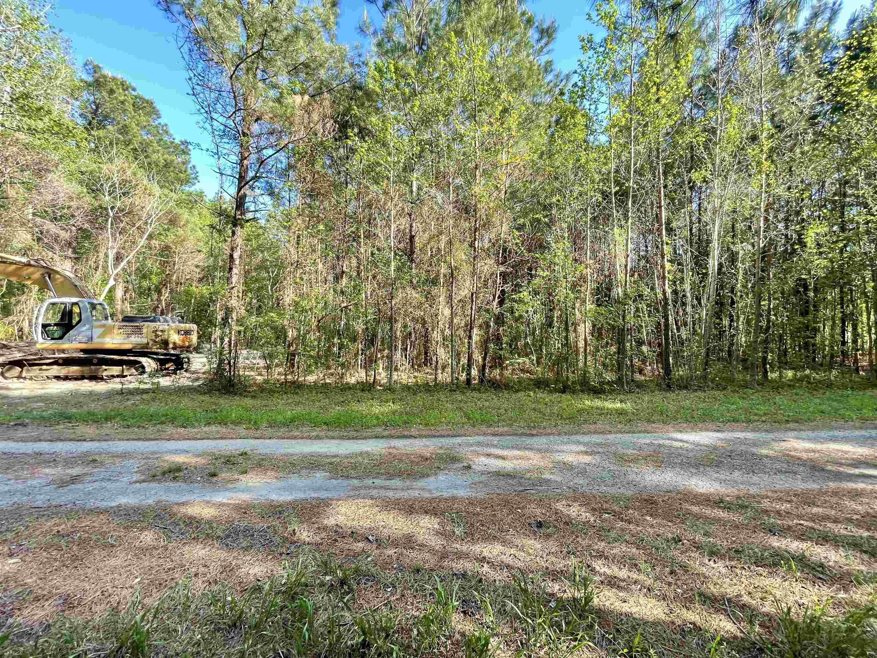 TBD Beth Dr. Conway, SC 29527