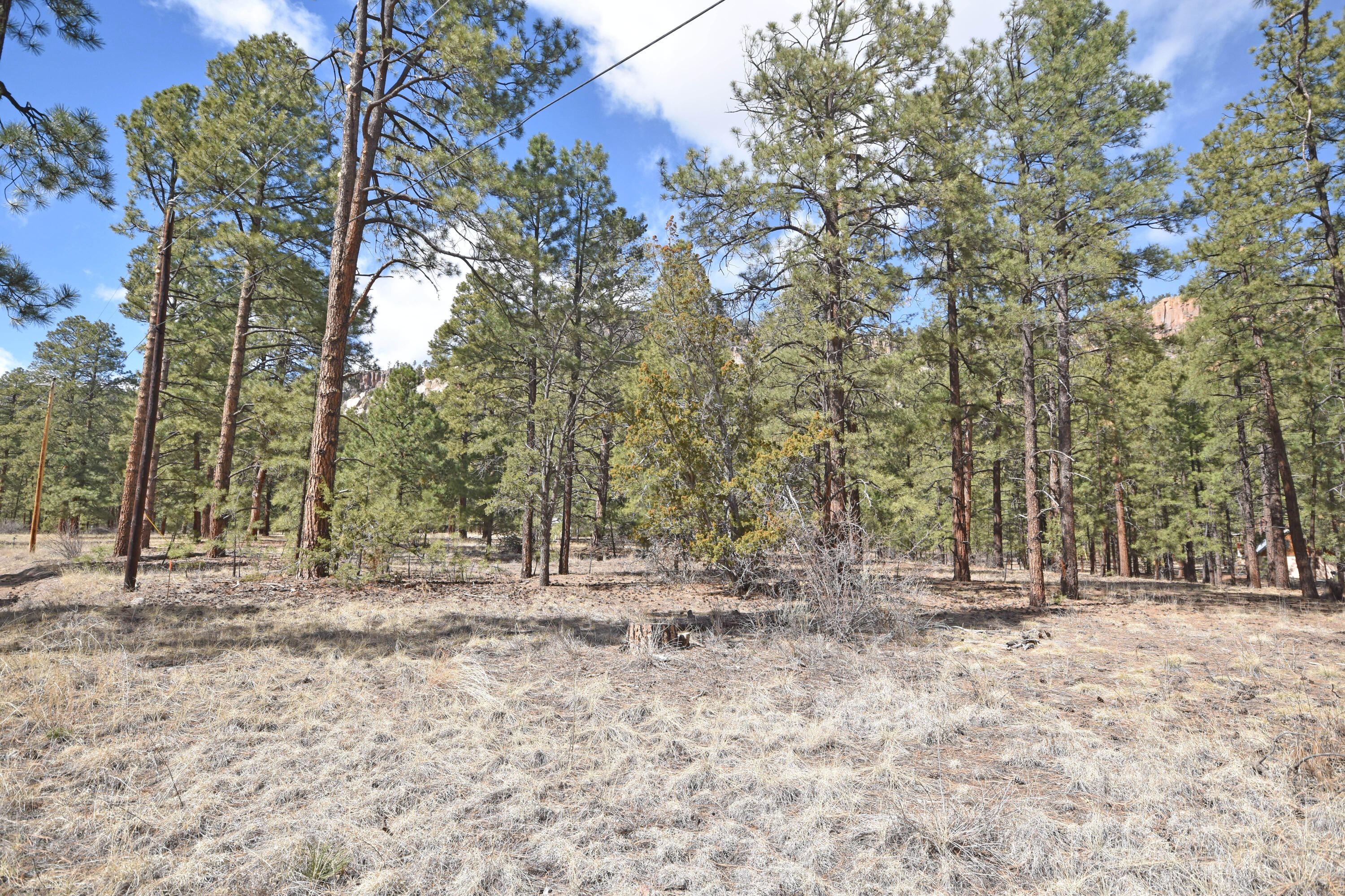 3rd image of Lot 49 A Cool Pines, Jemez Springs, NM 87025 | MLS# 1101405