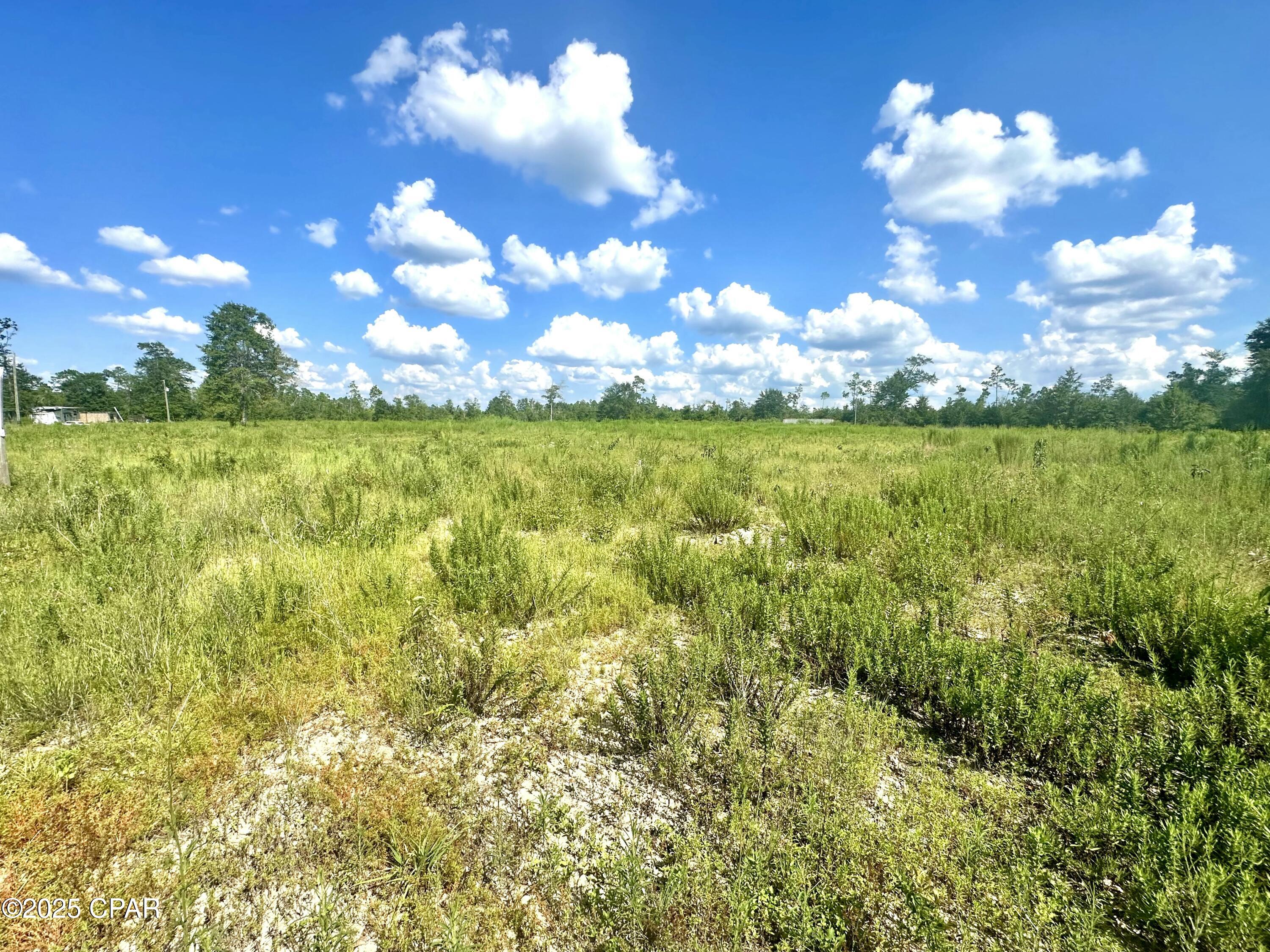 Details for 12810 Hwy 231, Youngstown, FL 32466