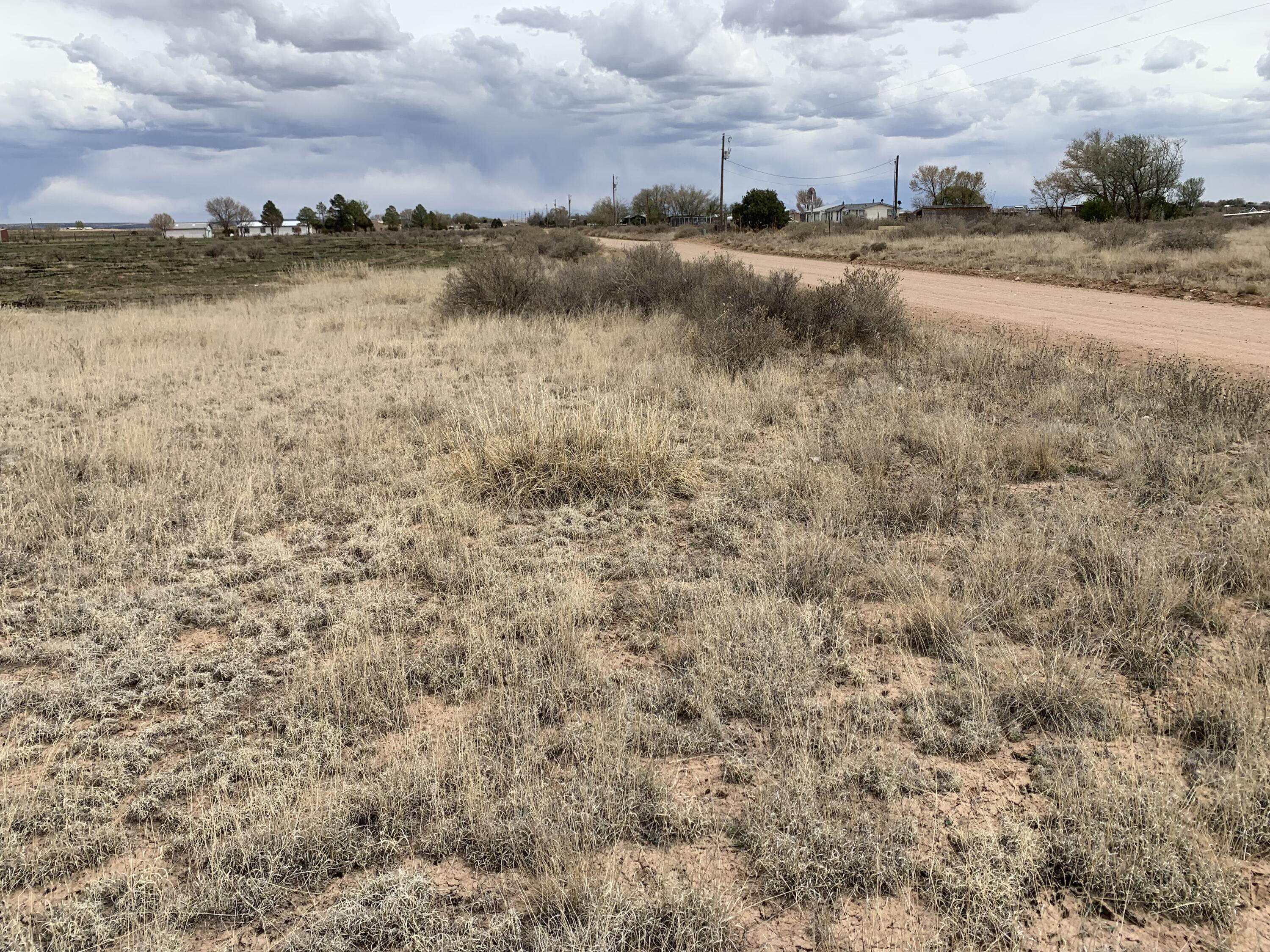 Photo 15 —  E Cummings - Lot 79 Avenue