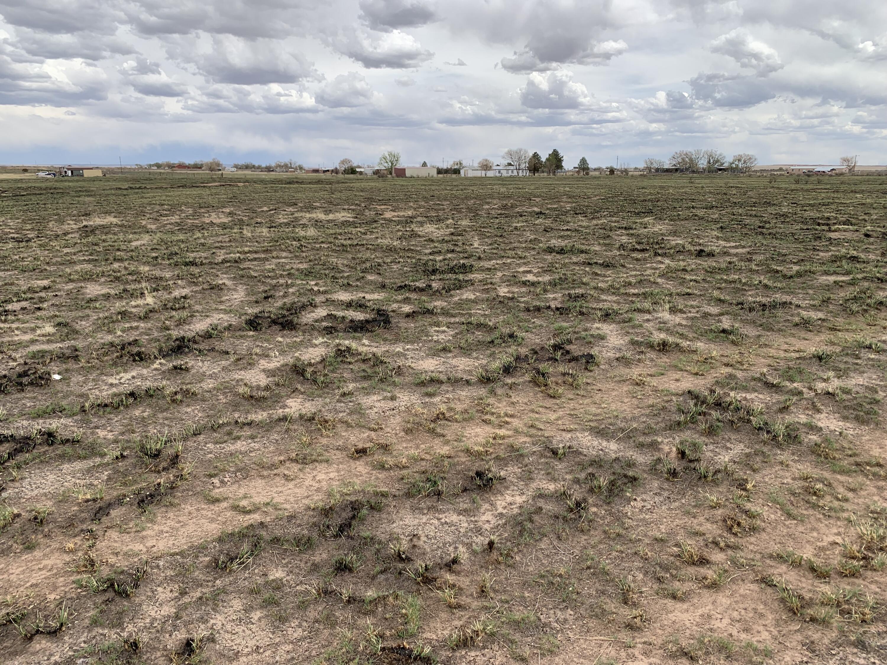 Photo 13 —  Parker Way - Lot 87