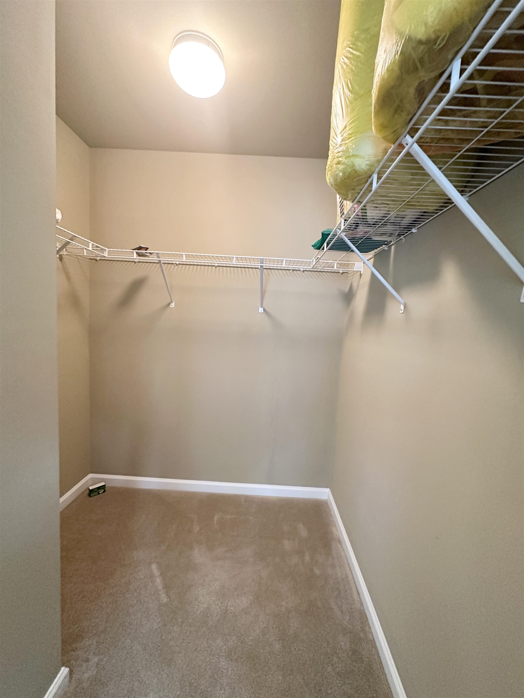 2609395 | Photo 20