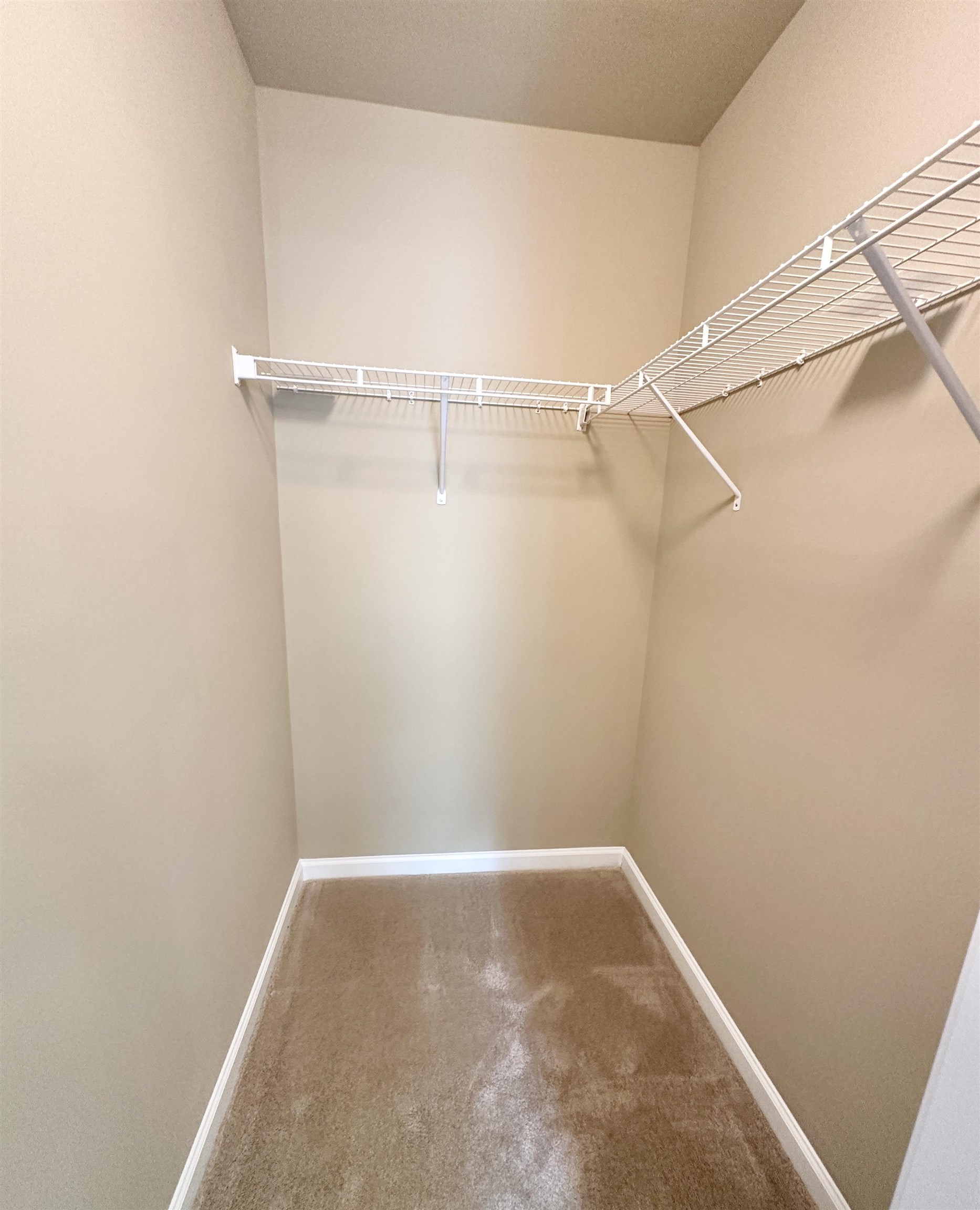 2609395 | Photo 25