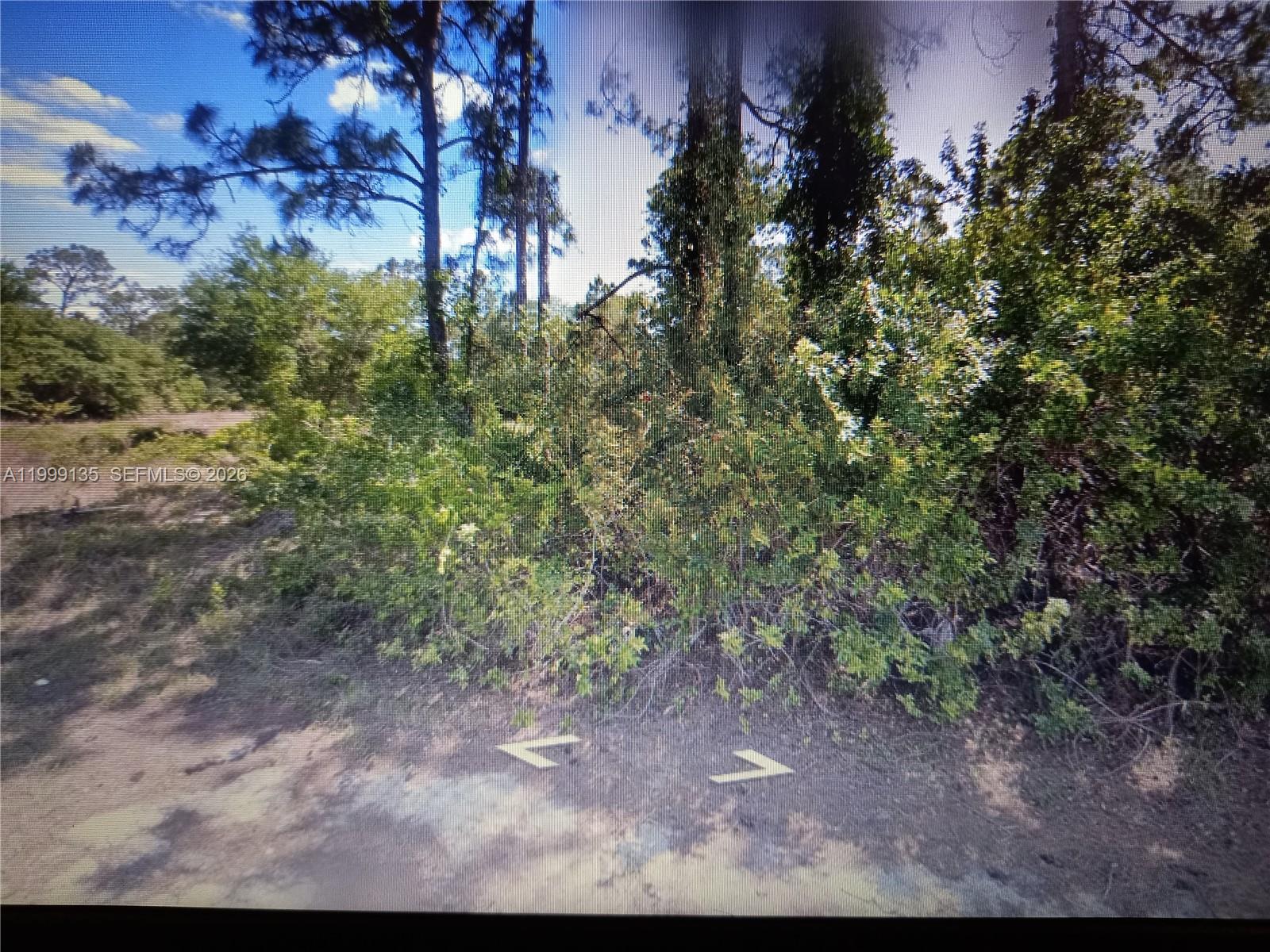 Lehigh Acres
