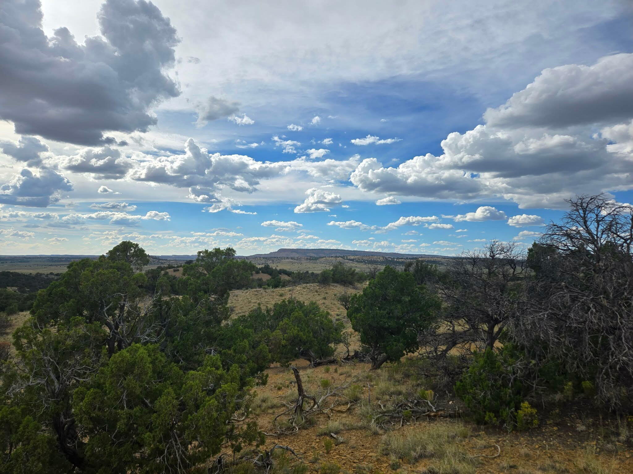 3rd image of 469 Co Rd 11, Jemez Springs, NM 87025 | MLS# 1101518