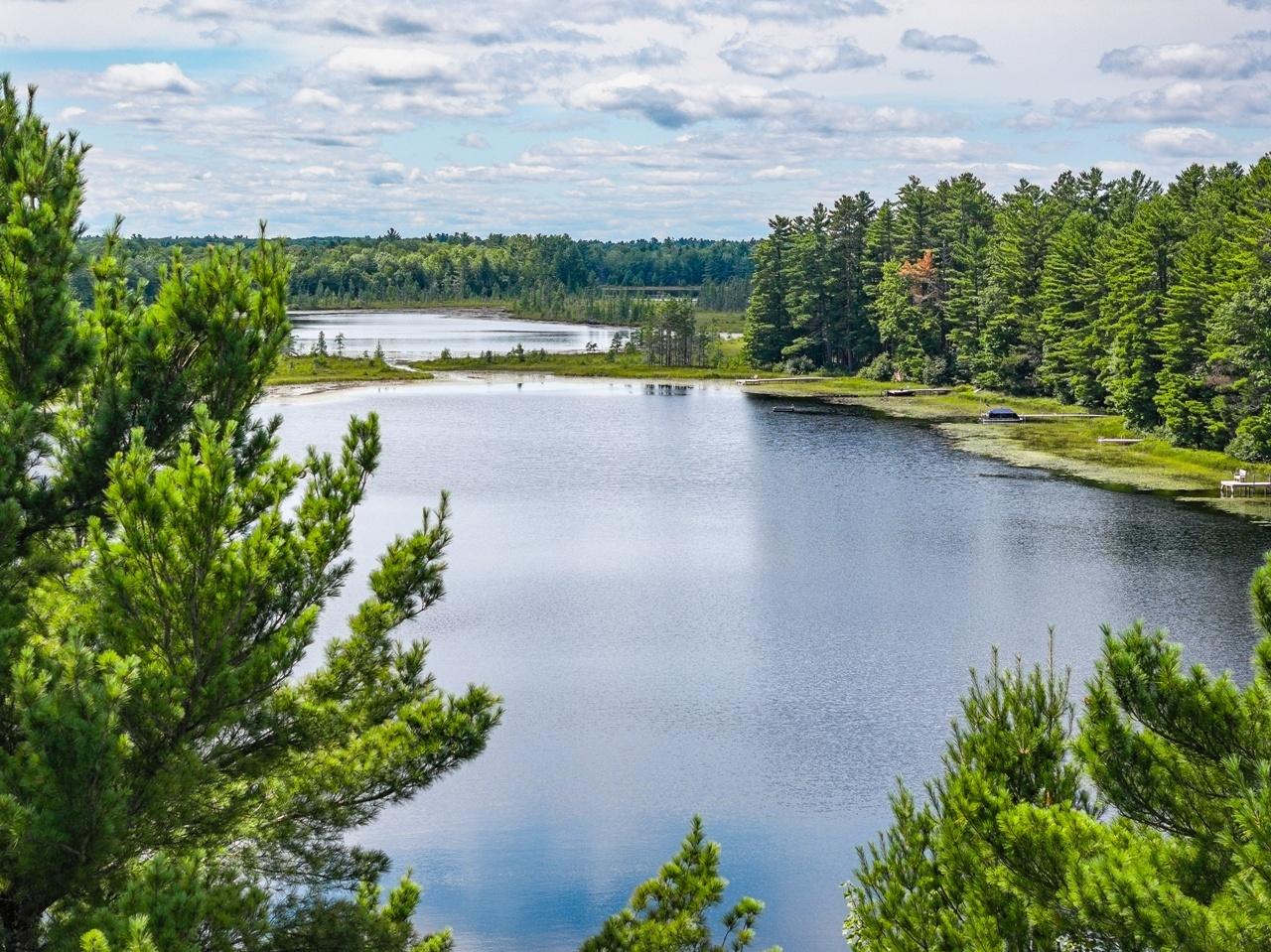 Undocumented Lake Property 13750 Powell Rd Photo 31