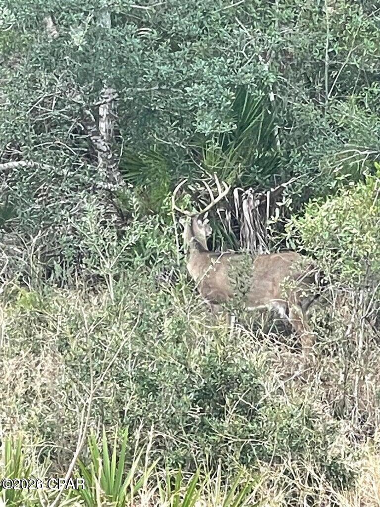 Image 34 For 3511 Cottage Cove Lane